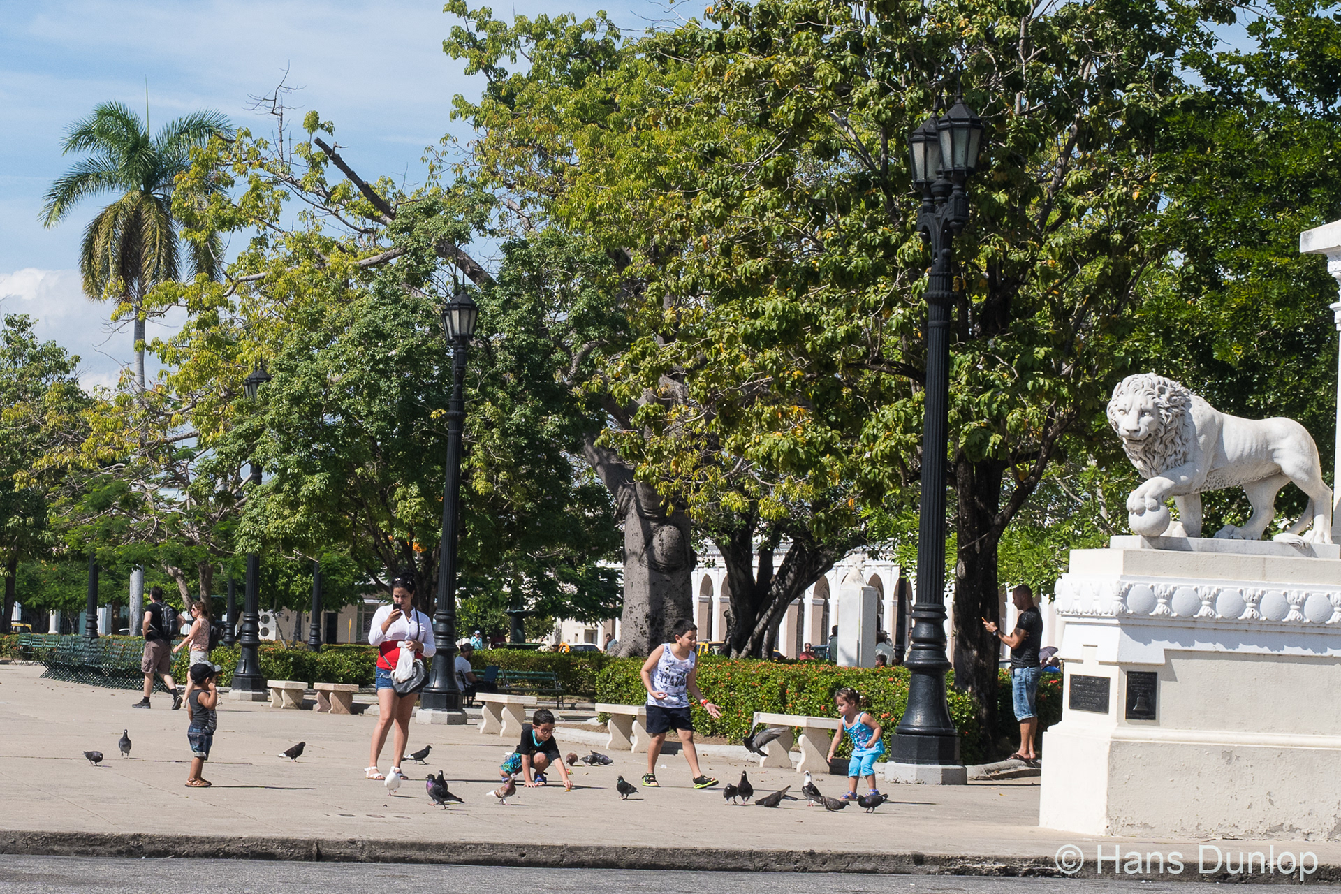 Always an attraction, feeding the birds