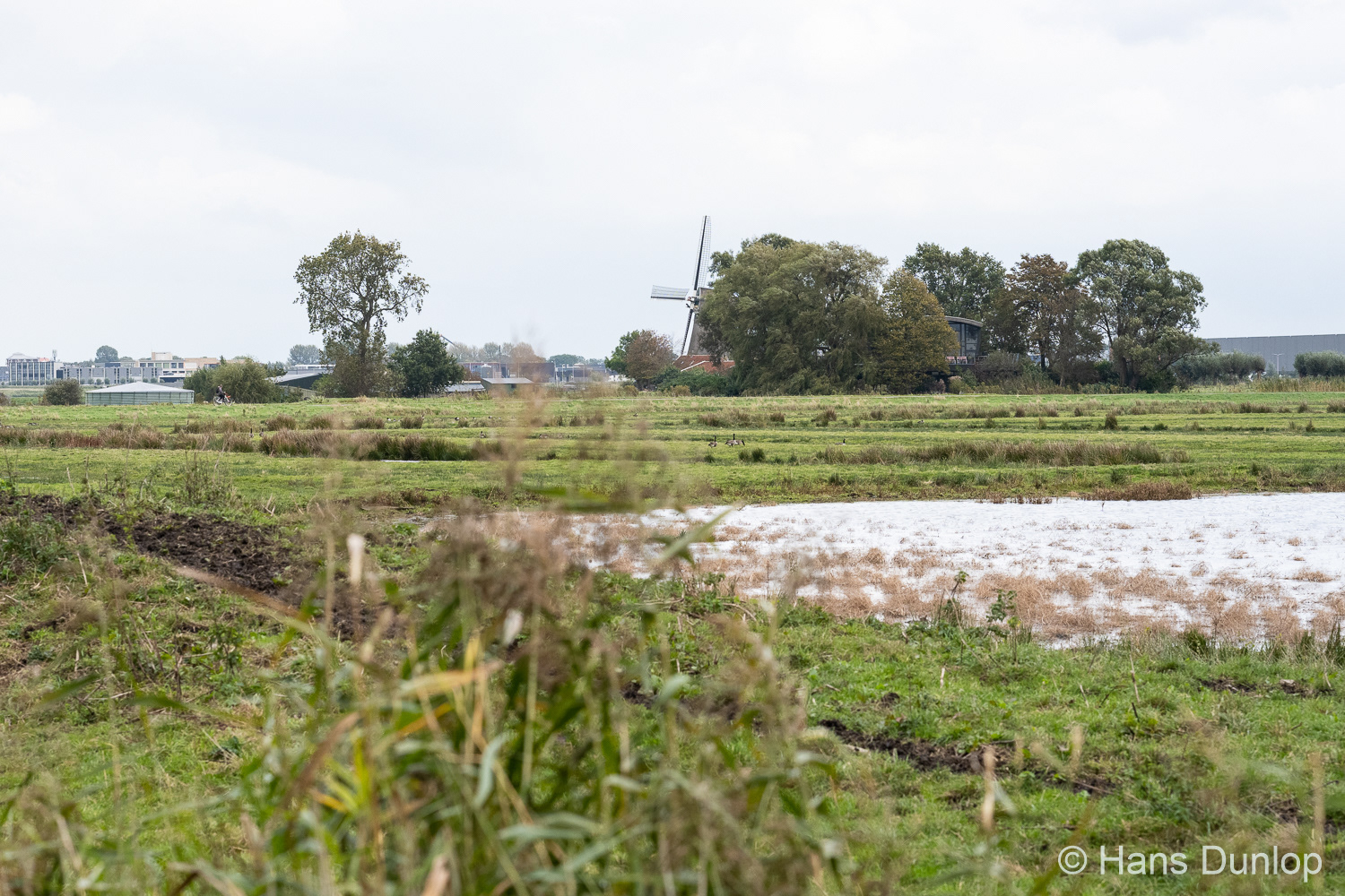 Ackerdijkse Plassen