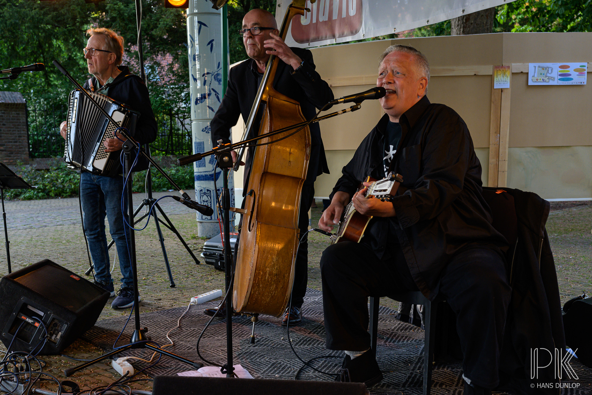 Kees Kingsize and the Big Cats