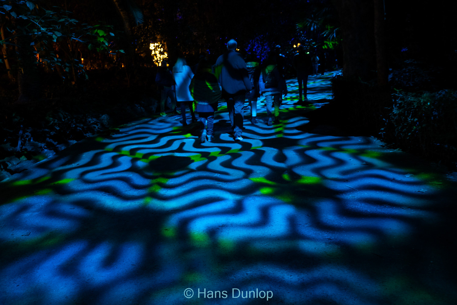 Christmas Garden: Jardin de la Conception