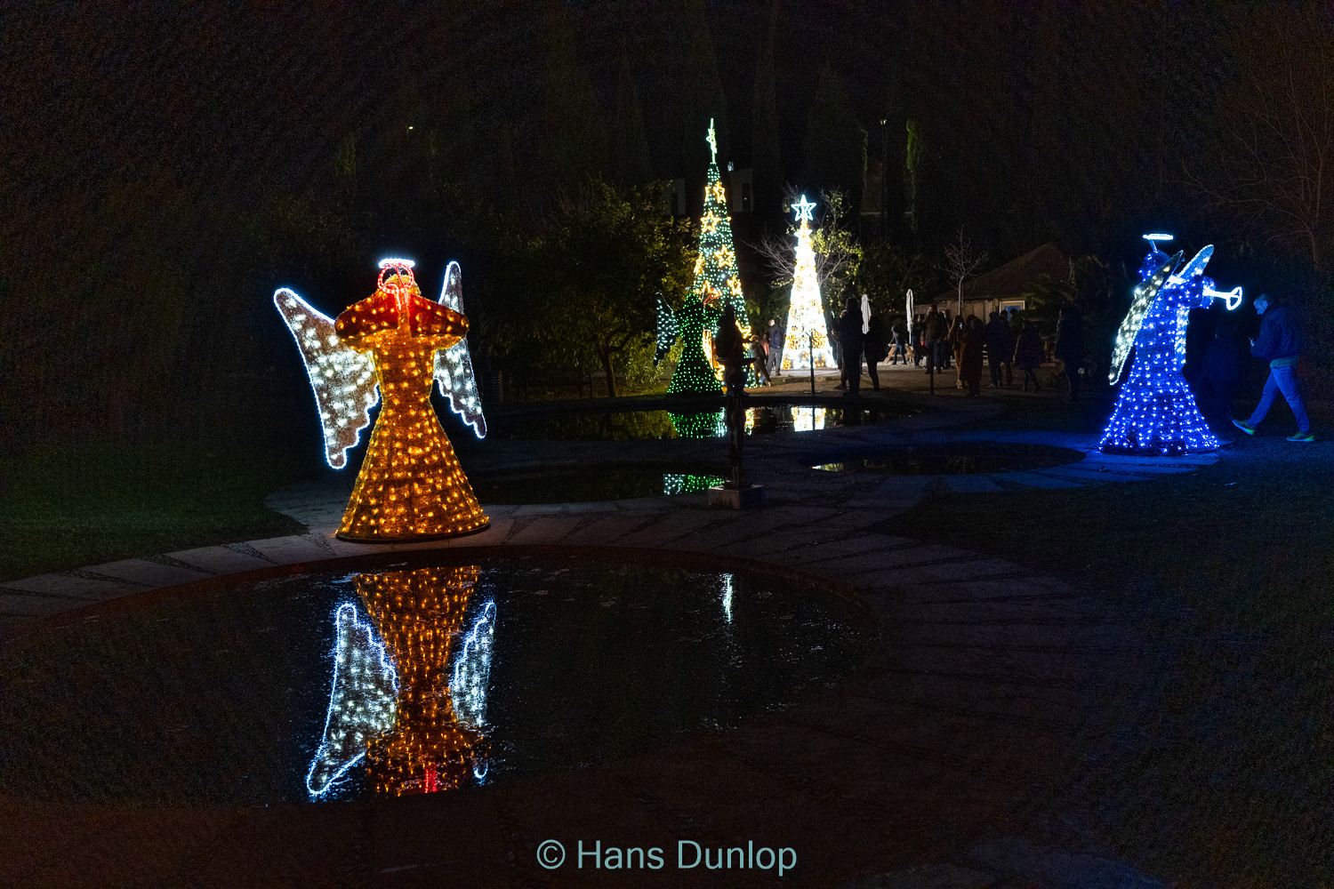 Christmas Garden: Jardin de la Conception