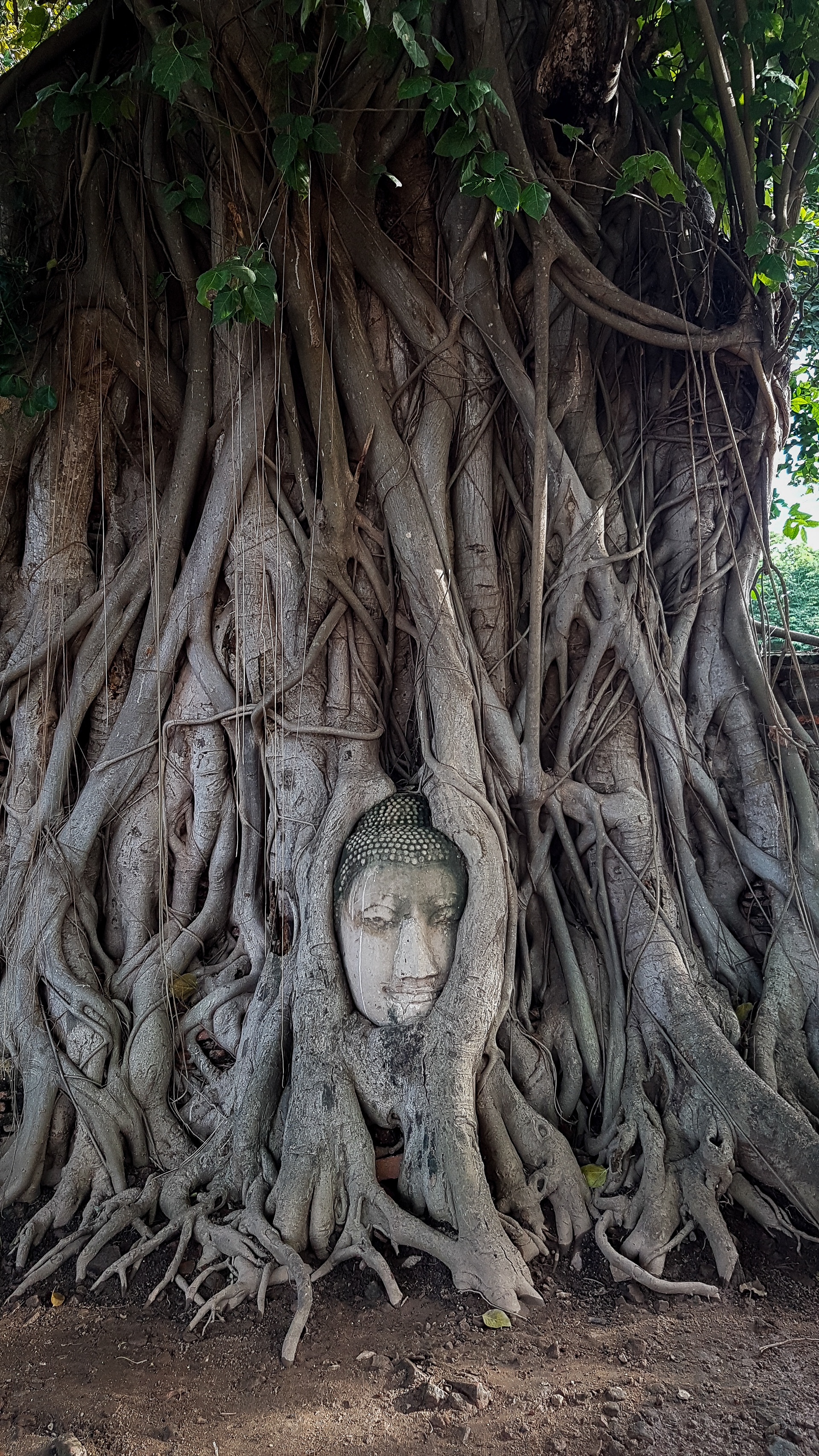 Ayutthaya, Thailand