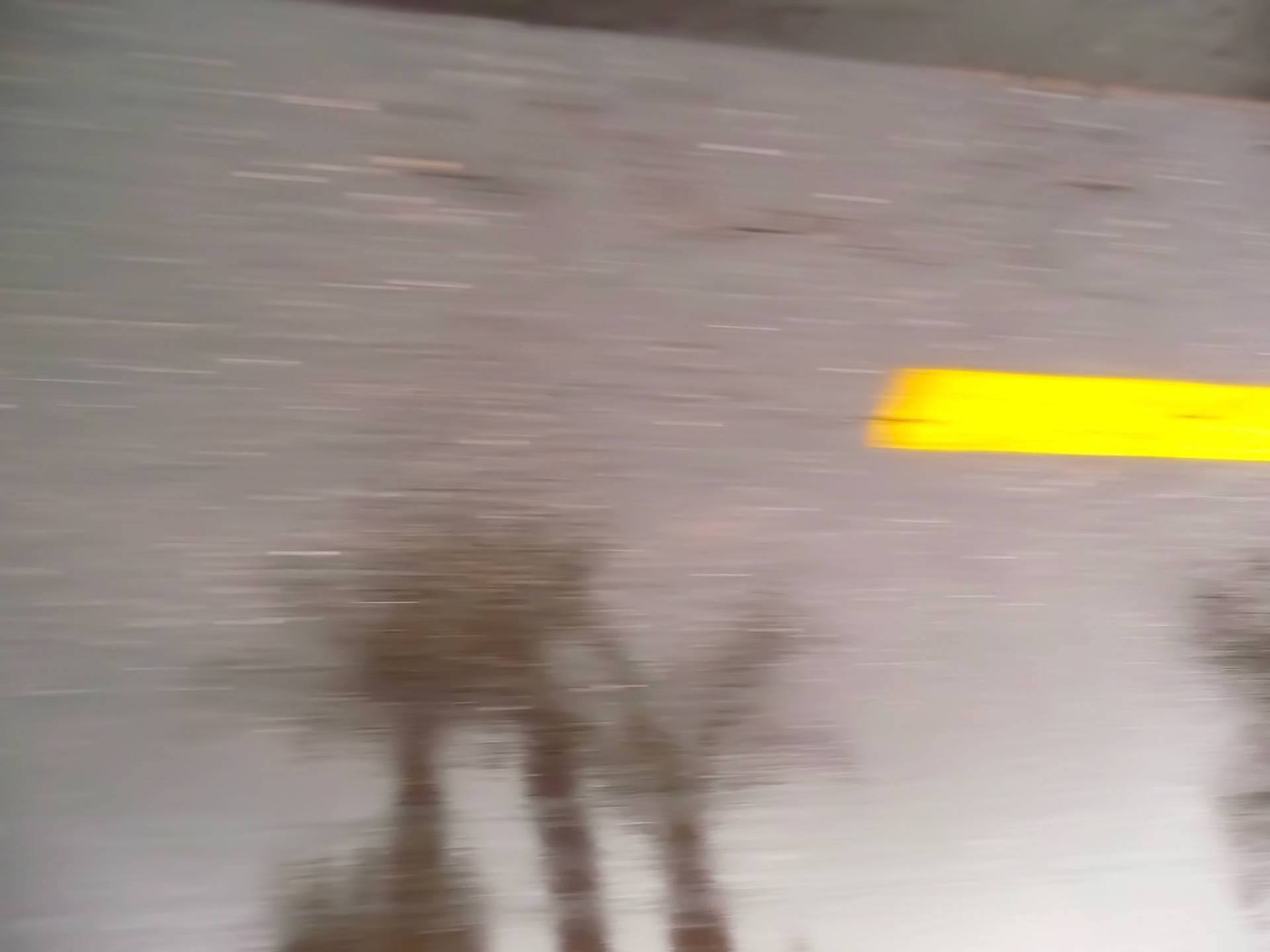 Puddle Pictures Marrakech