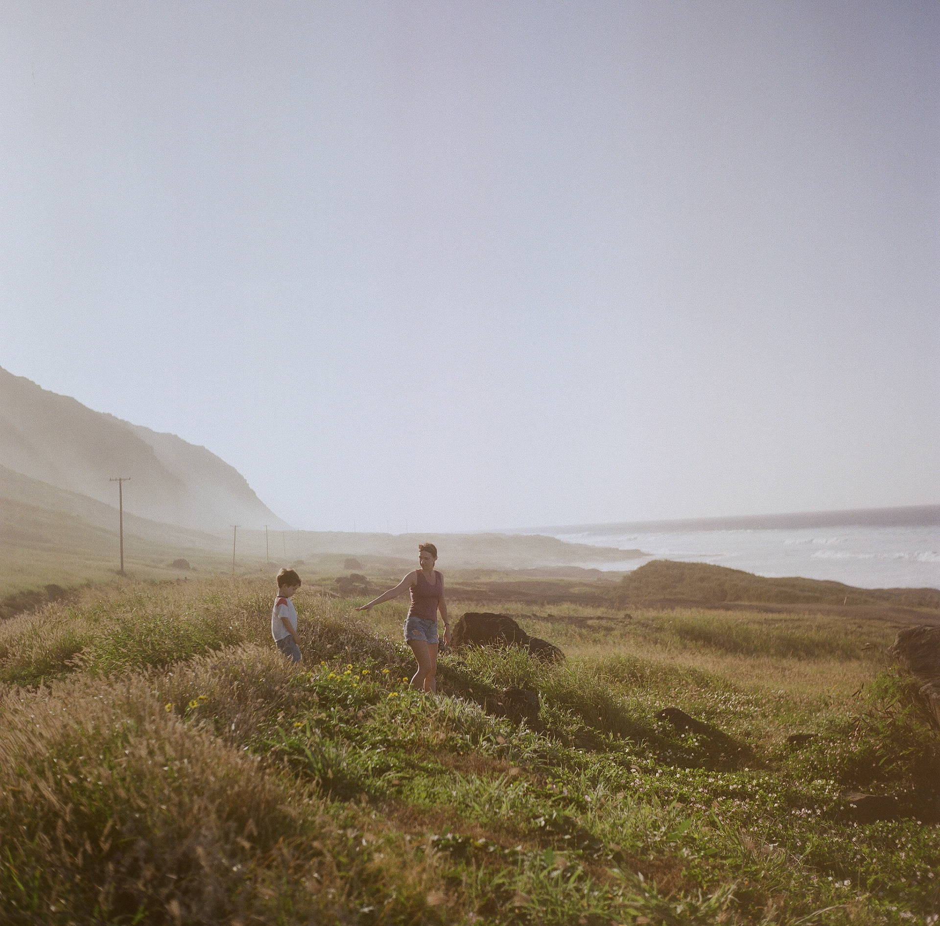 somethingwild.film