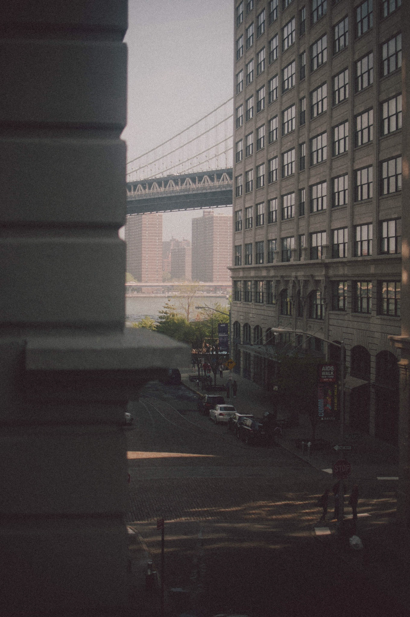 somethingwild.film