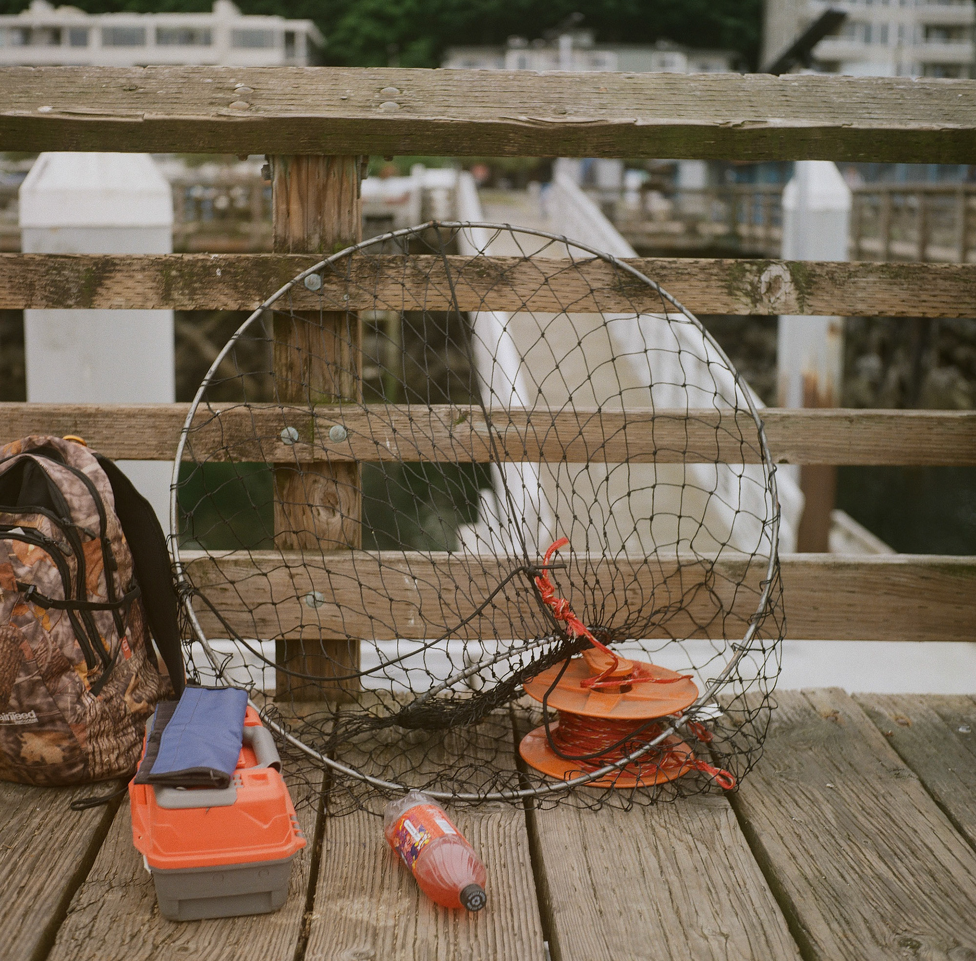 somethingwild.film
