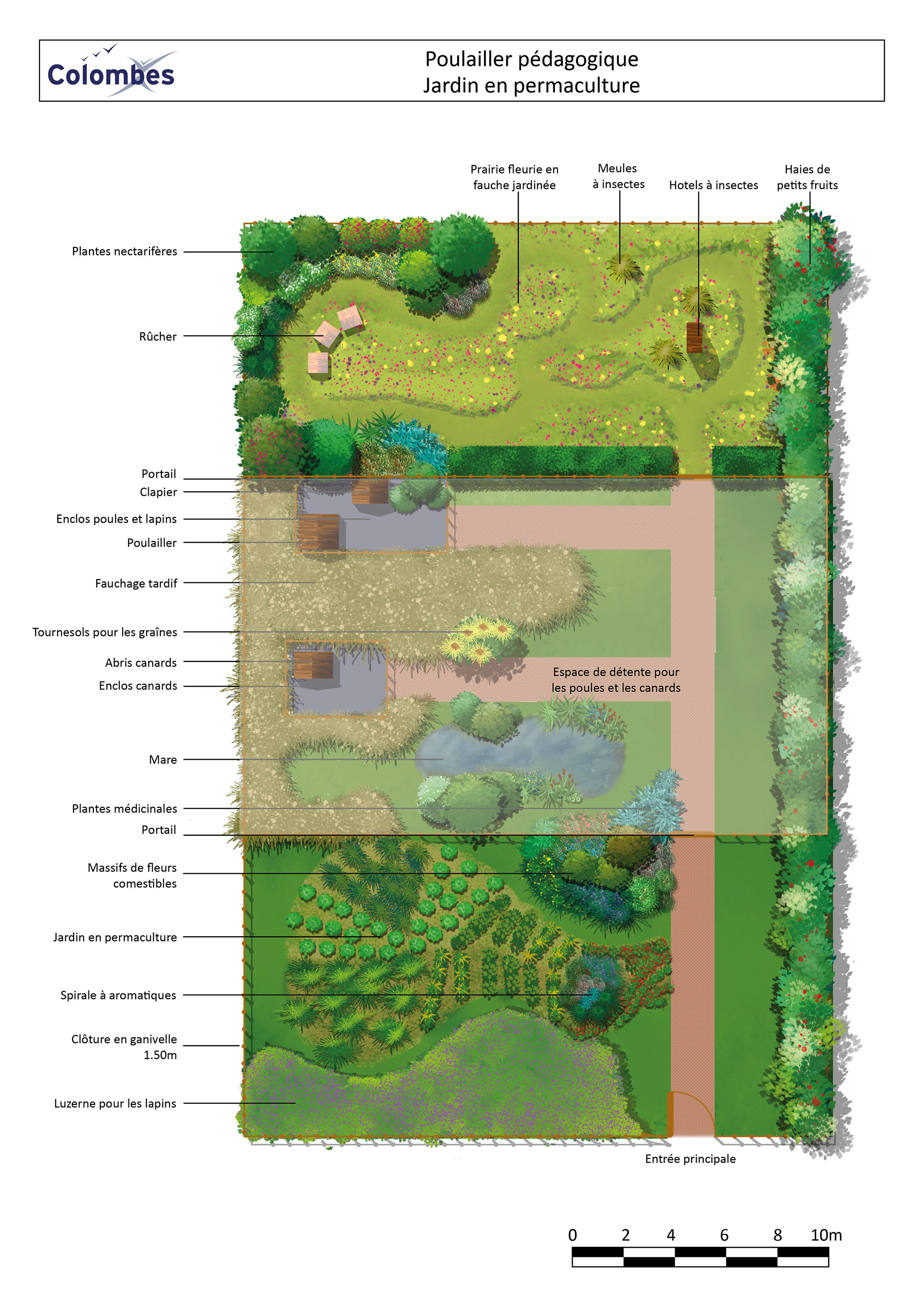 Plan d'ambiance d'un poulailler en ville