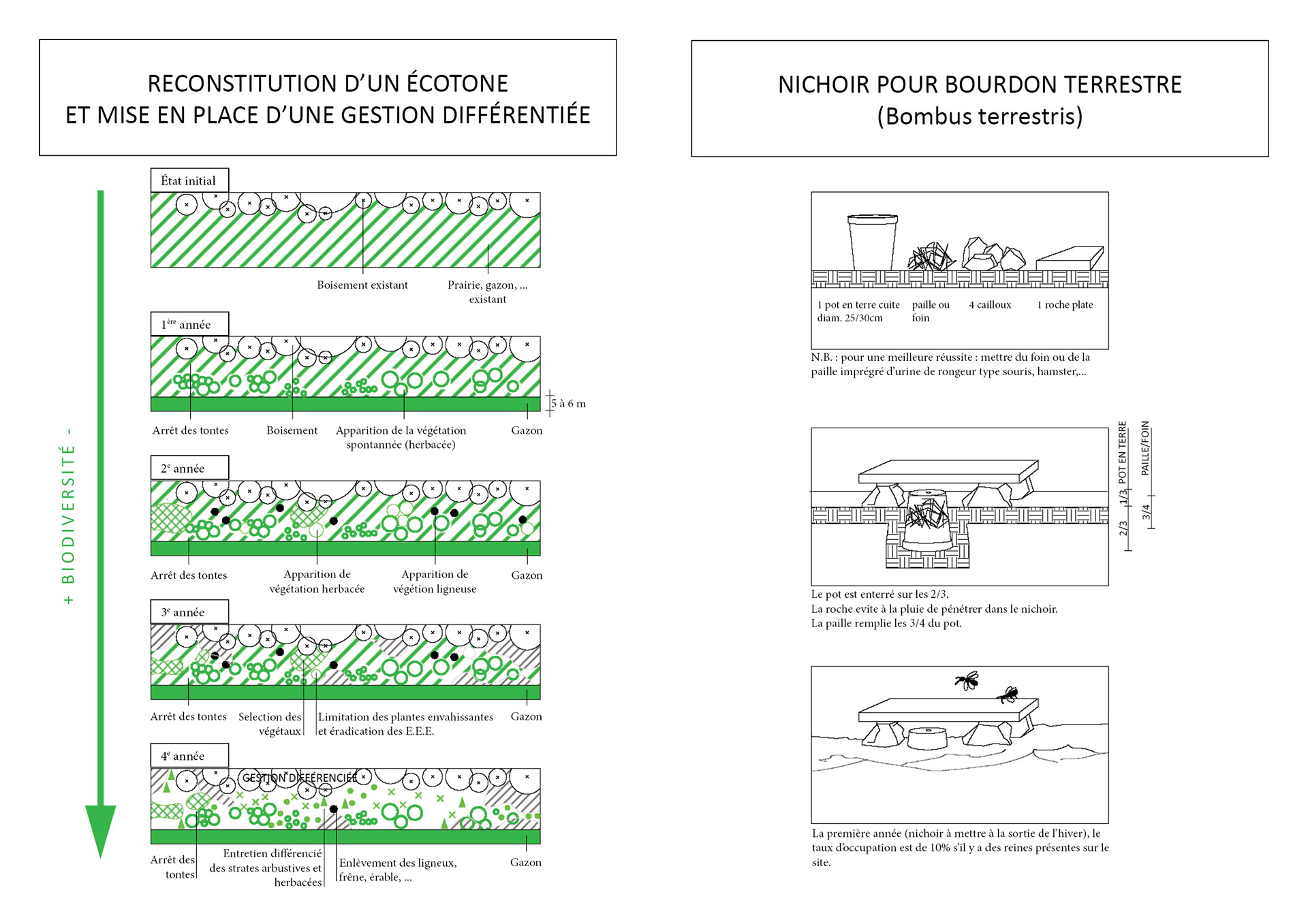 Plan de principe d'un écotone