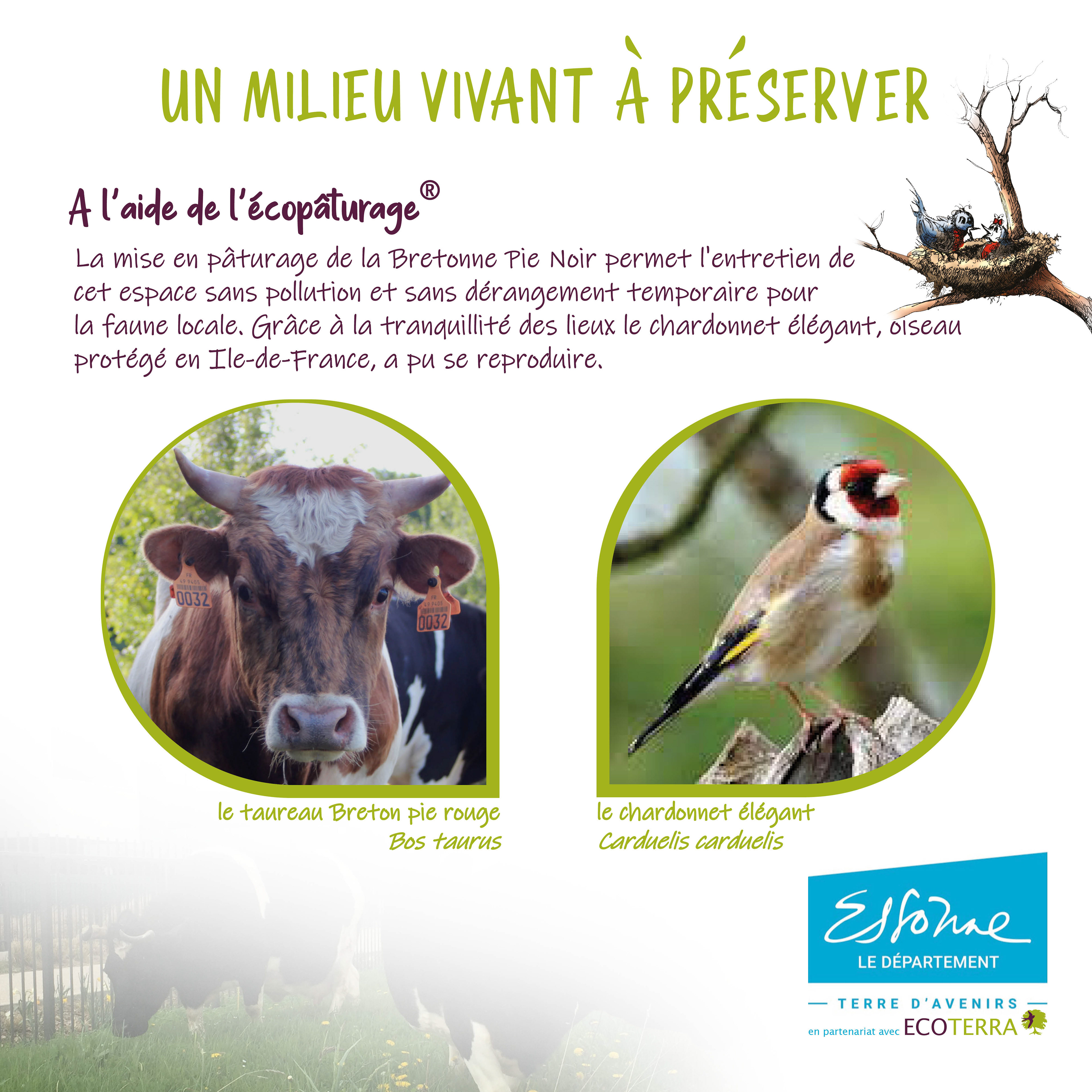 panneau pédagogique l'écopaturage