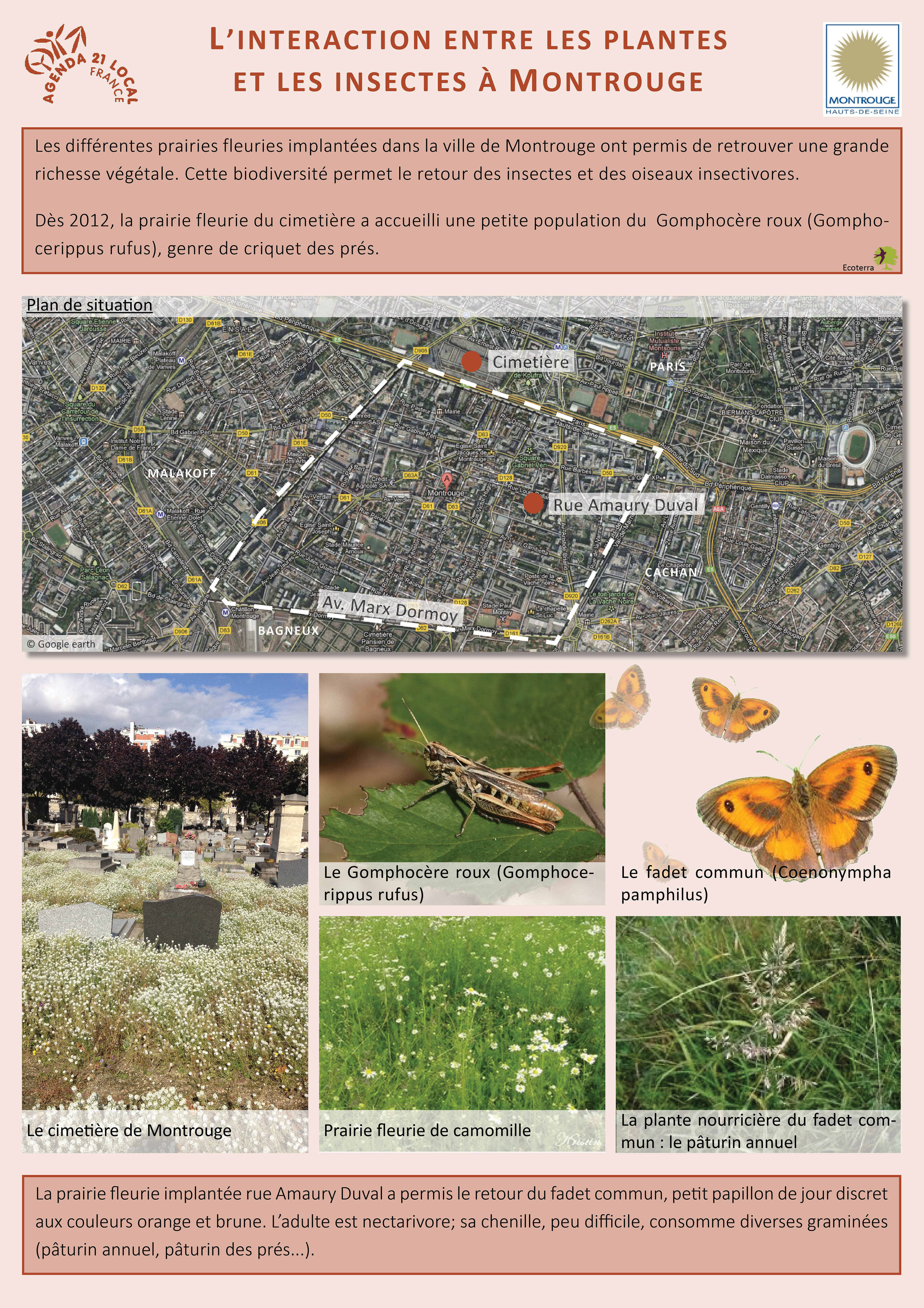 Une plante : un insecte