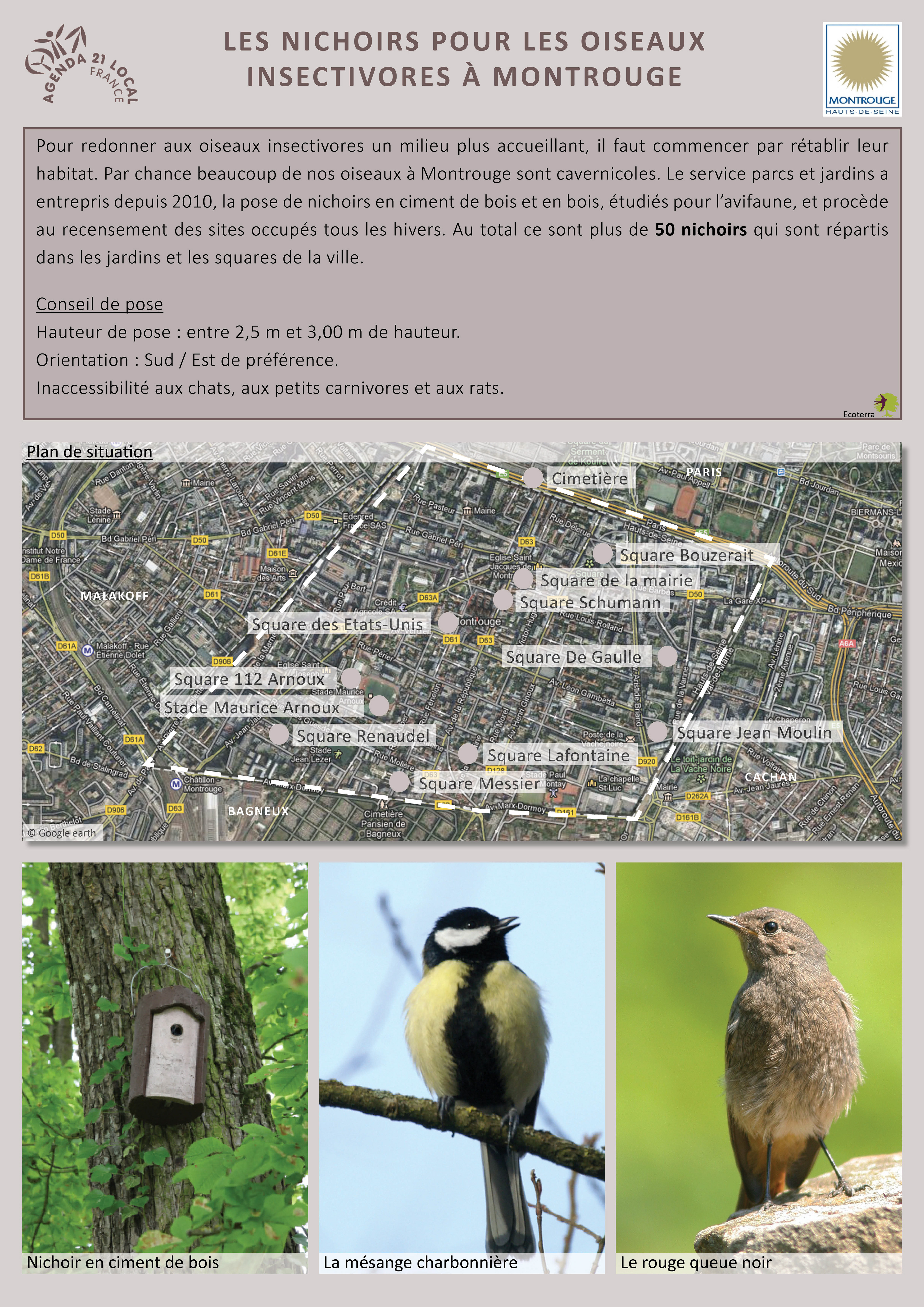 Ramener les oiseaux en ville