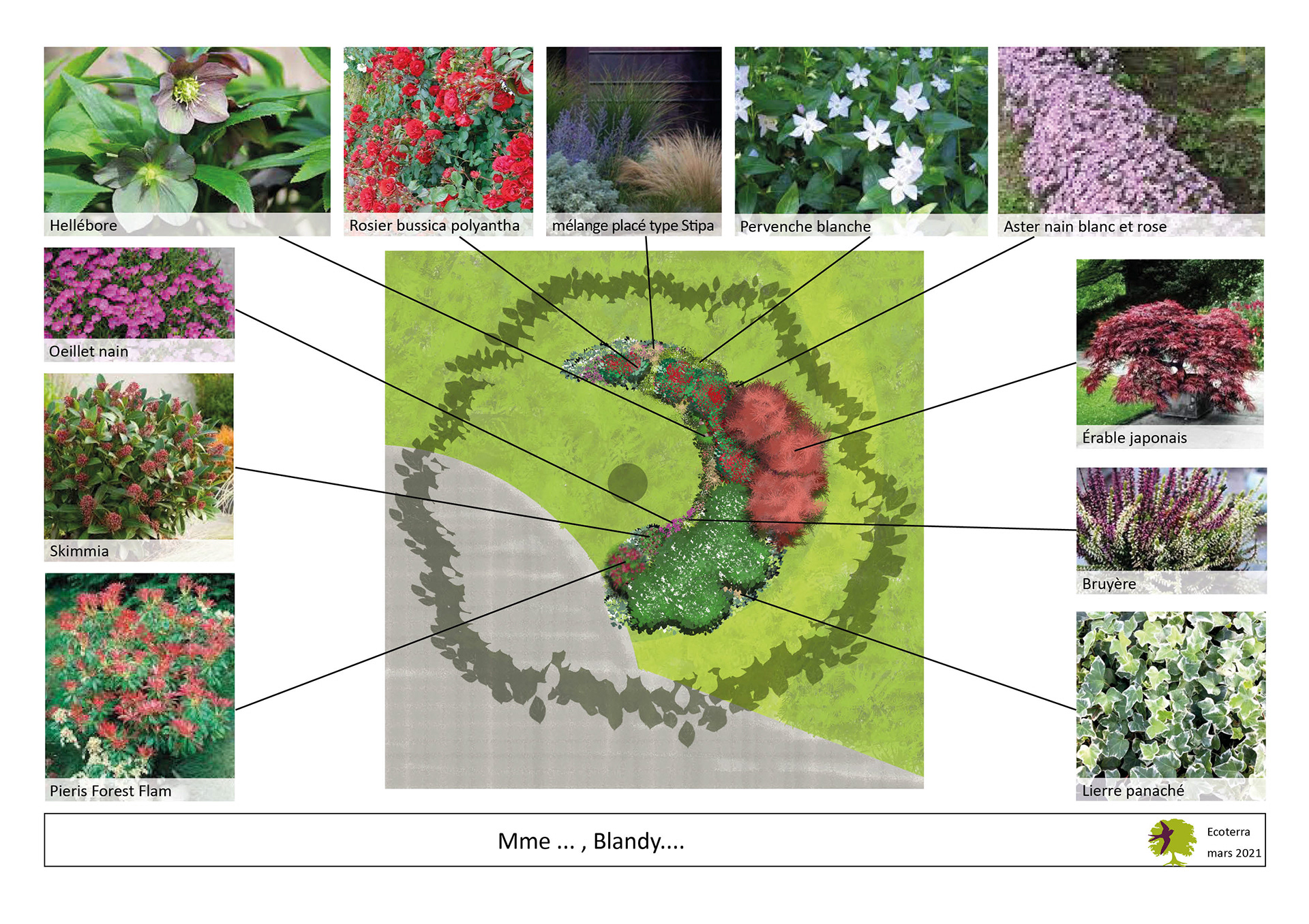 Proposition d'aménagment de massif