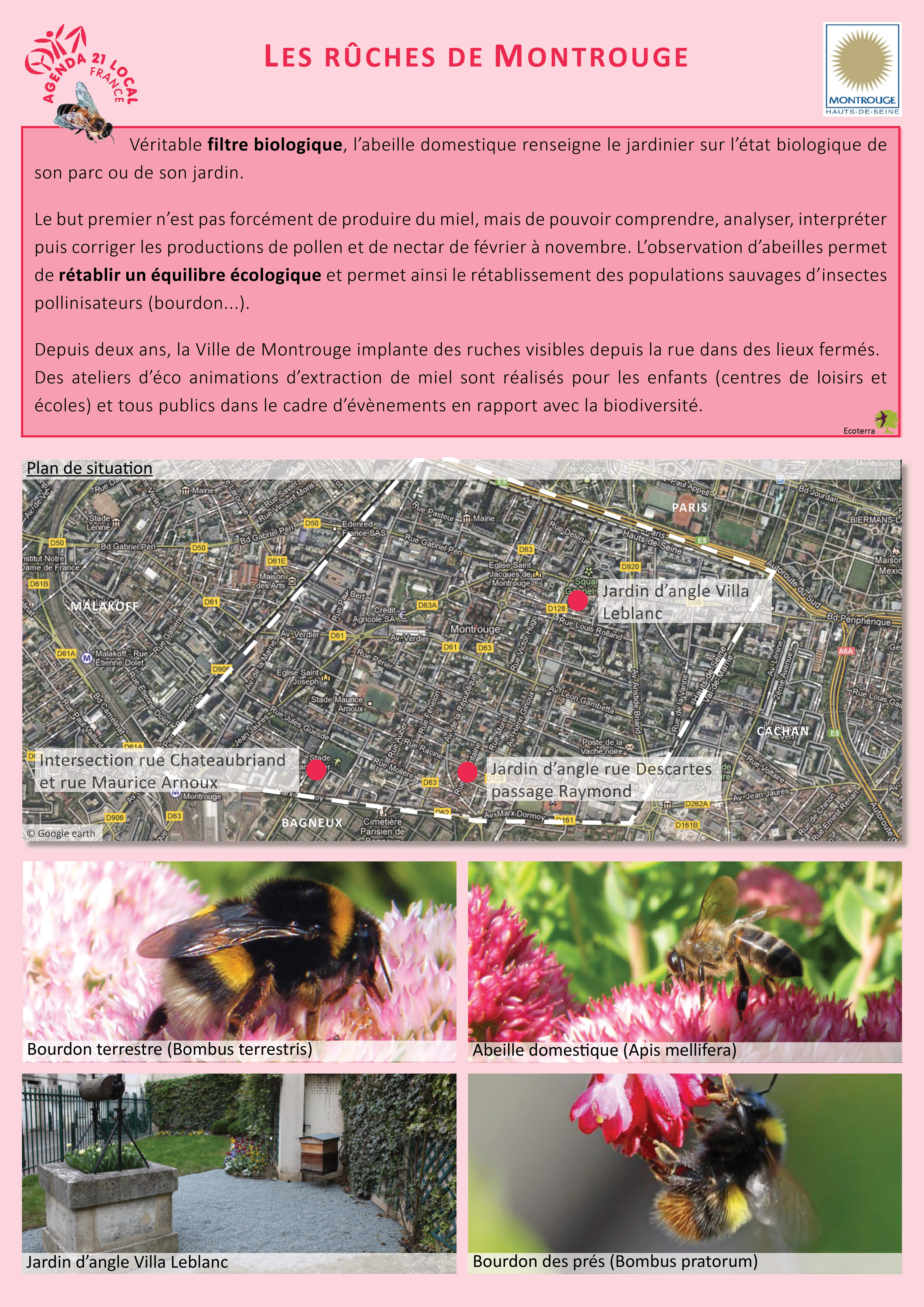 gestion différenciée, équilibre écologique