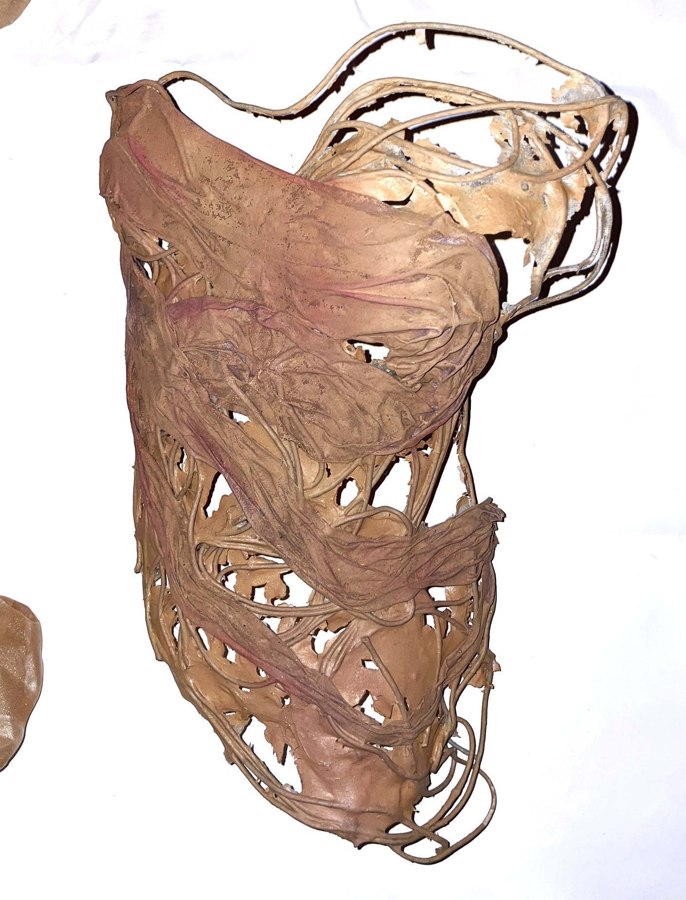 Cotton cord and mesh dipped in bioplastic 2025