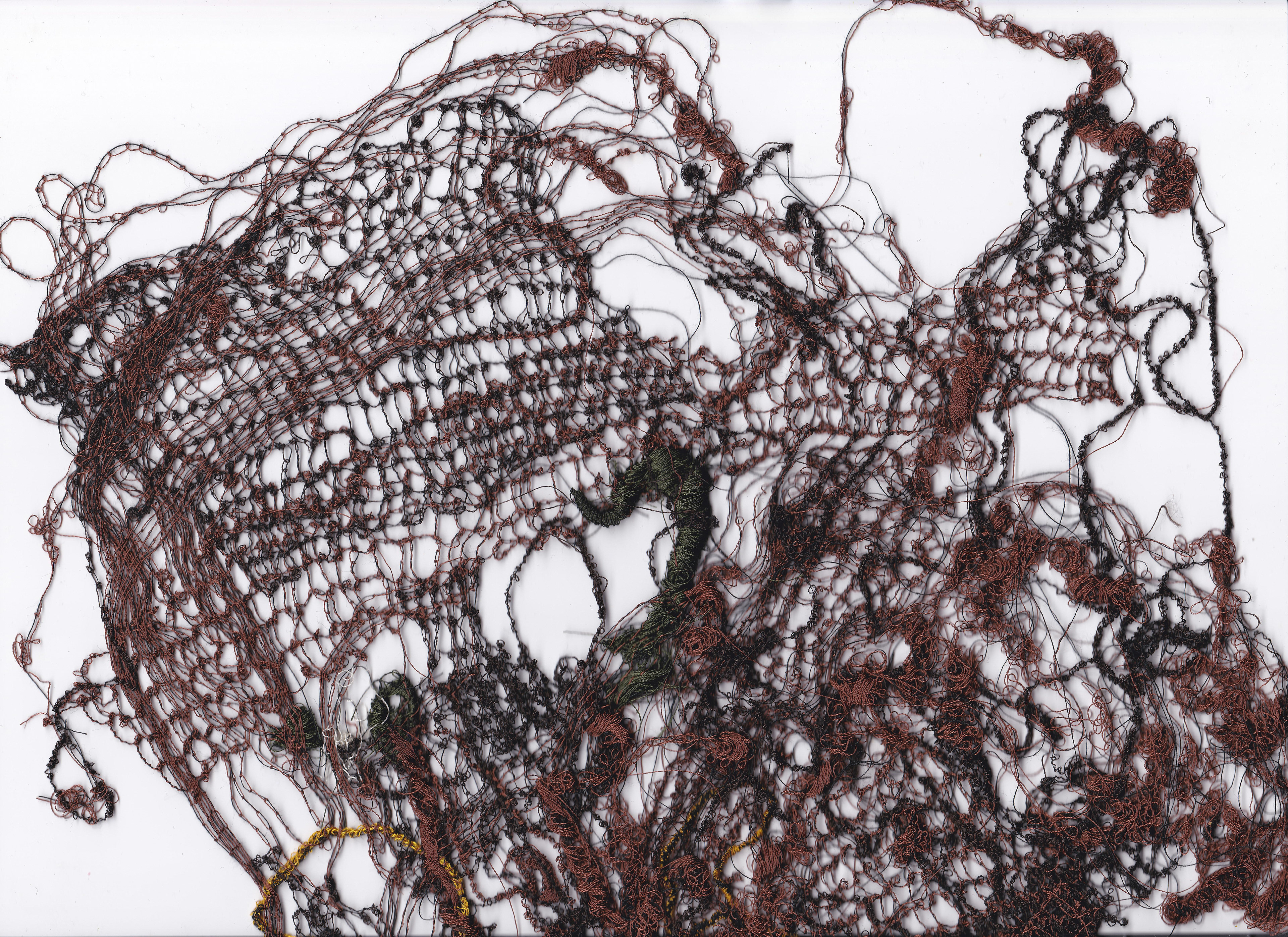 Lace 2024