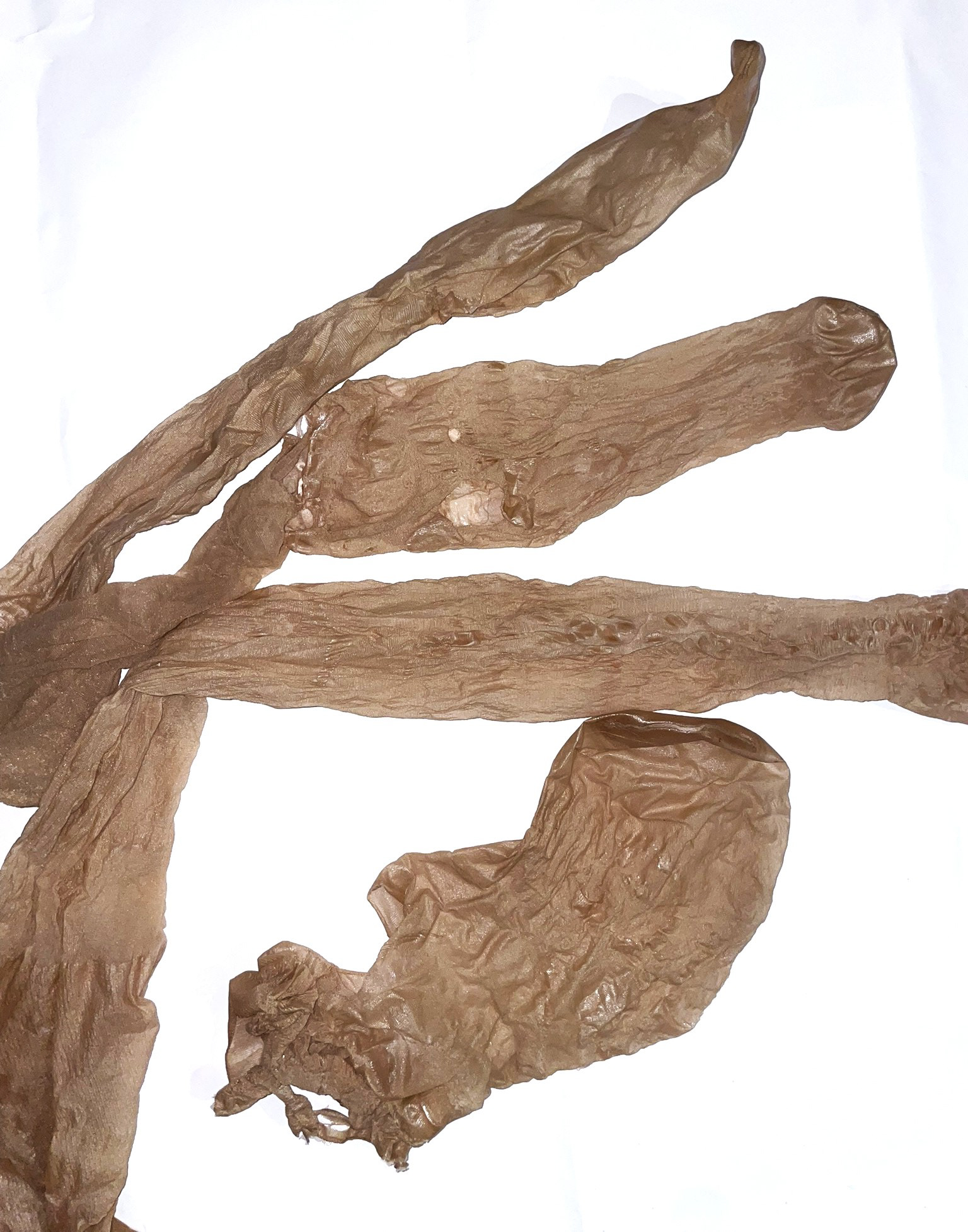 BIOPLASTIC thighs 2025