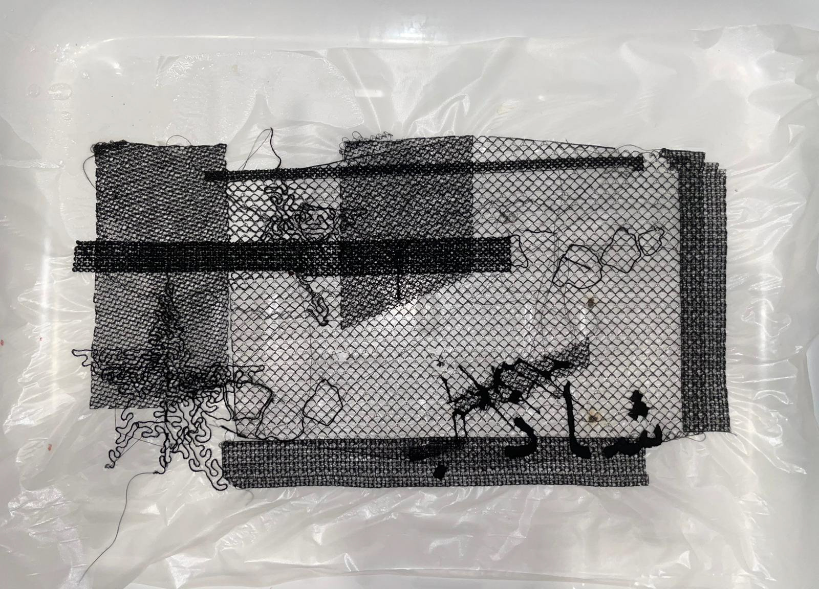 Freestyle embroidery on water soulable paper 2024