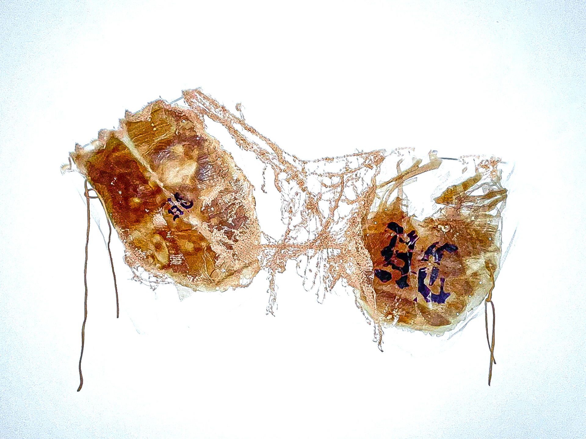 BIOPLASTICS mixed with embroidery 2025