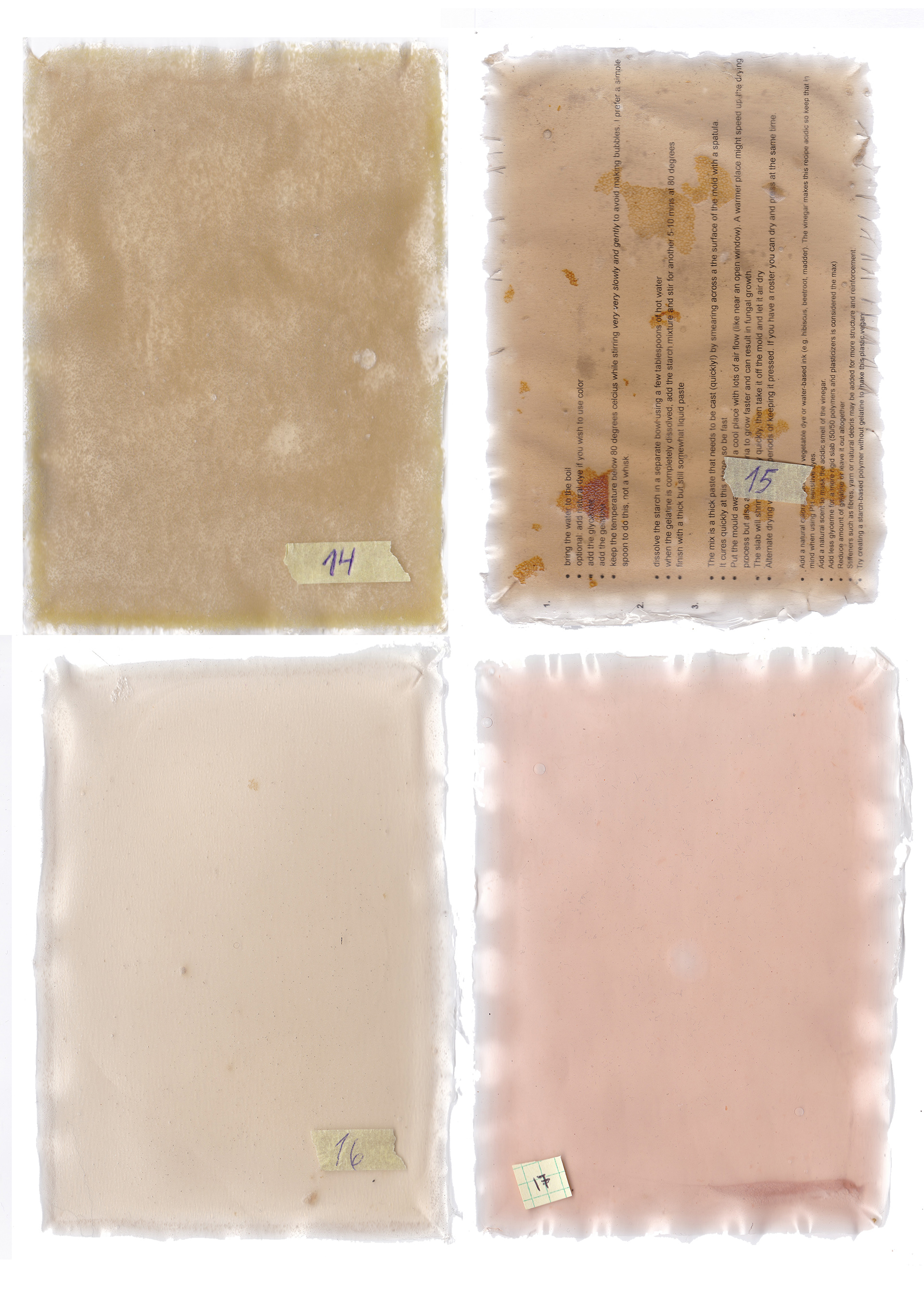 BIOPLASTIC TESTS 2025