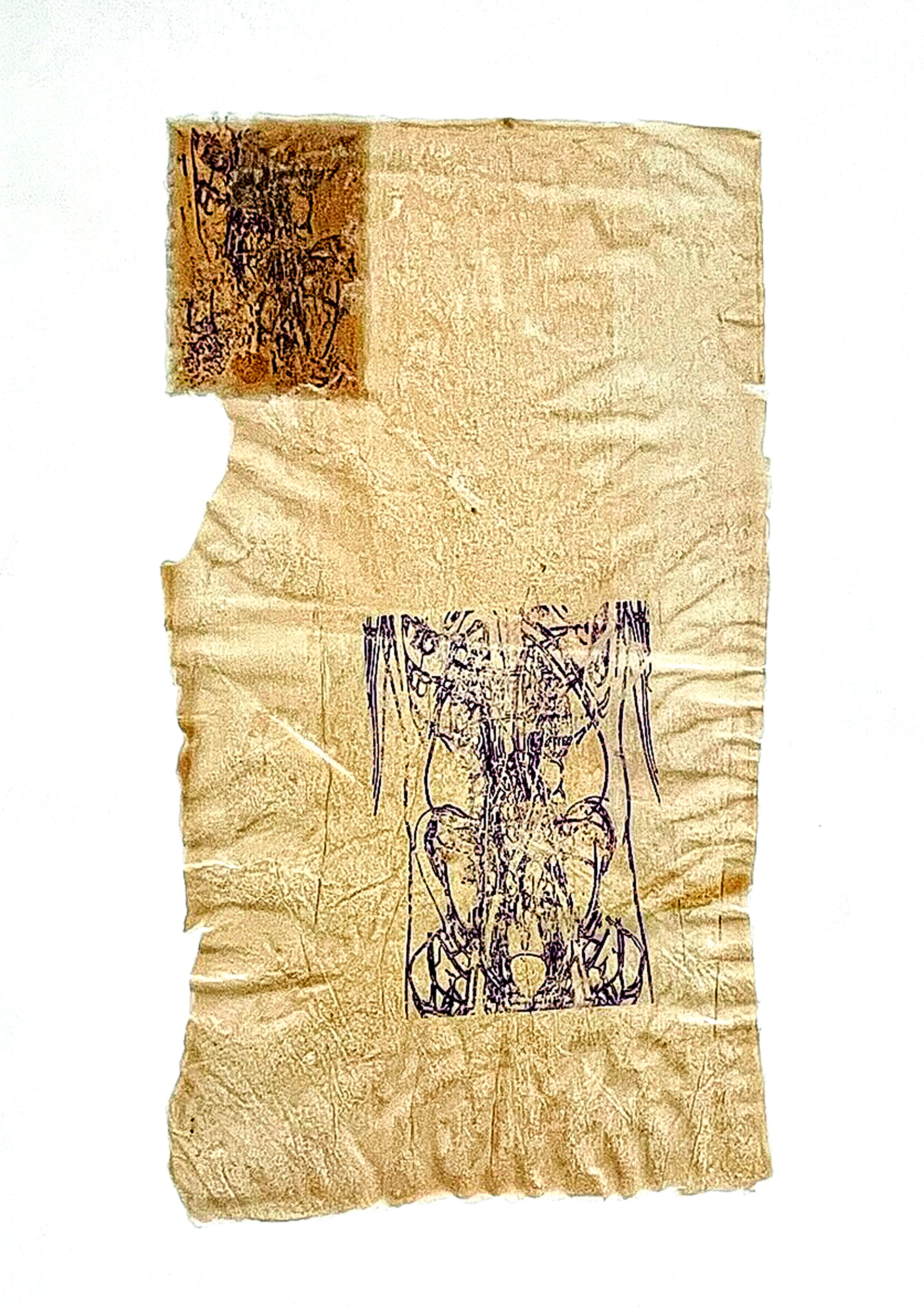 Tattooed BIOPLASTICS 2025
