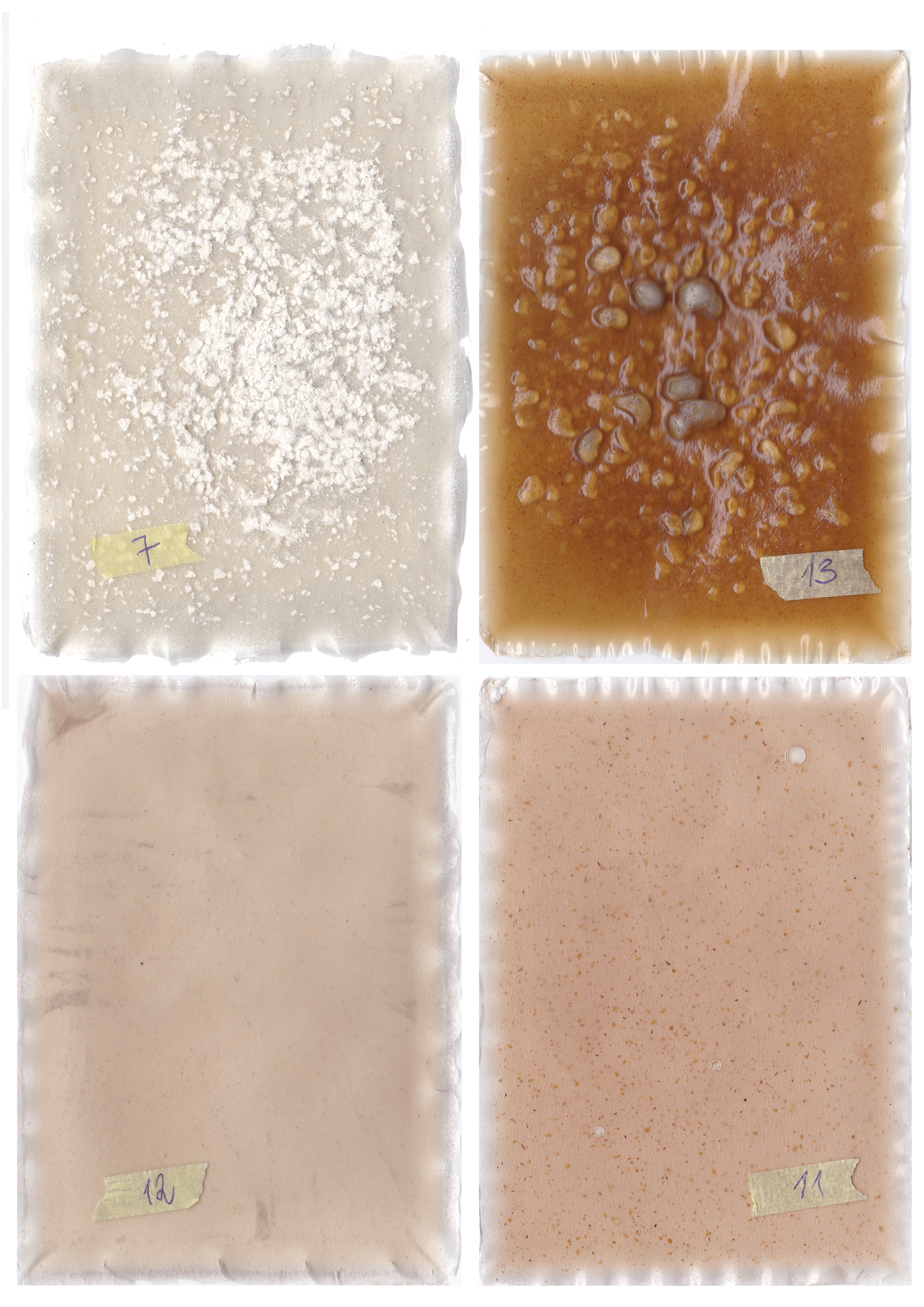 BIOPLASTIC TESTS 2025