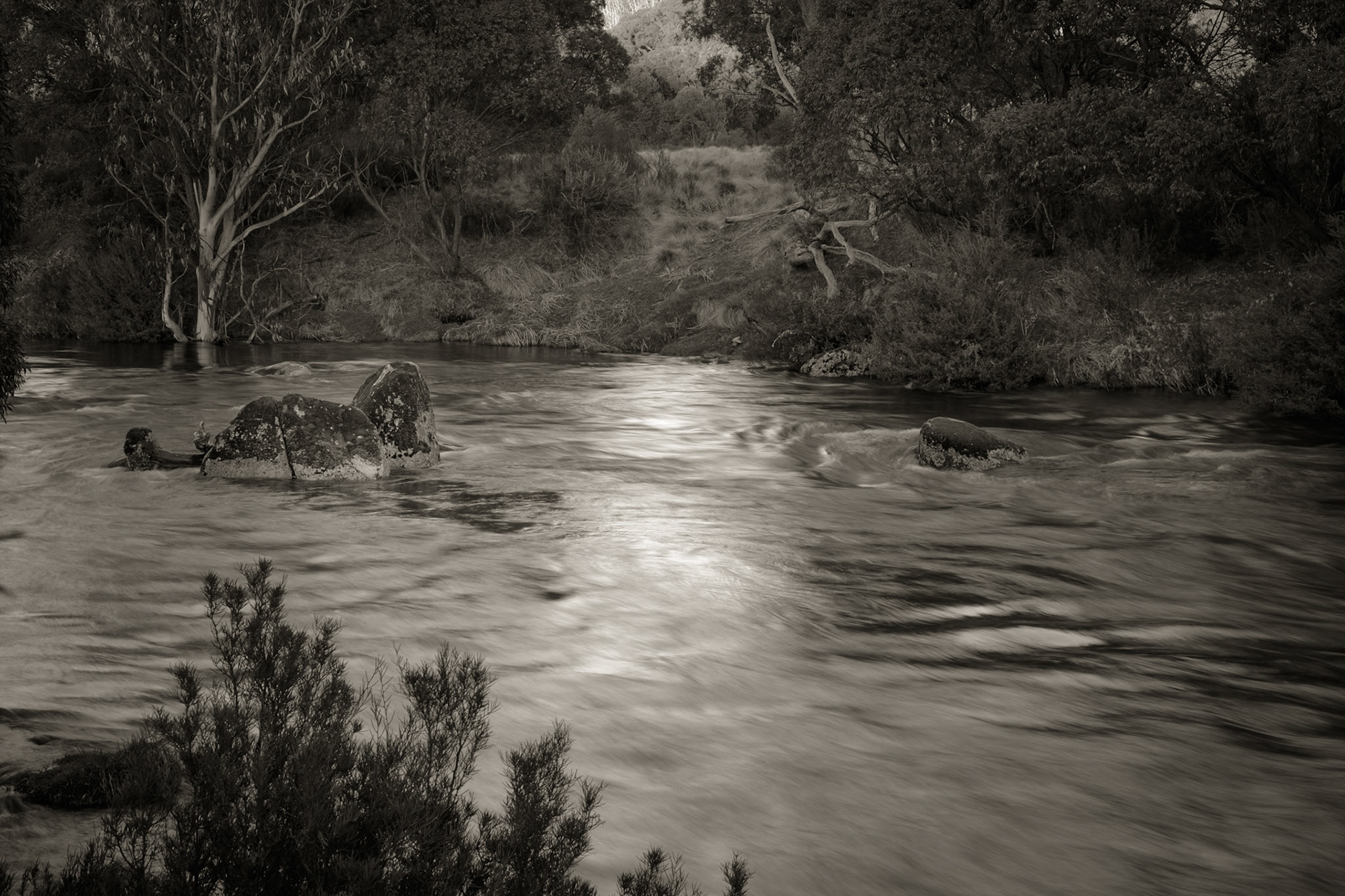 Bullocks Walking Track, The Diggings Camp Ground