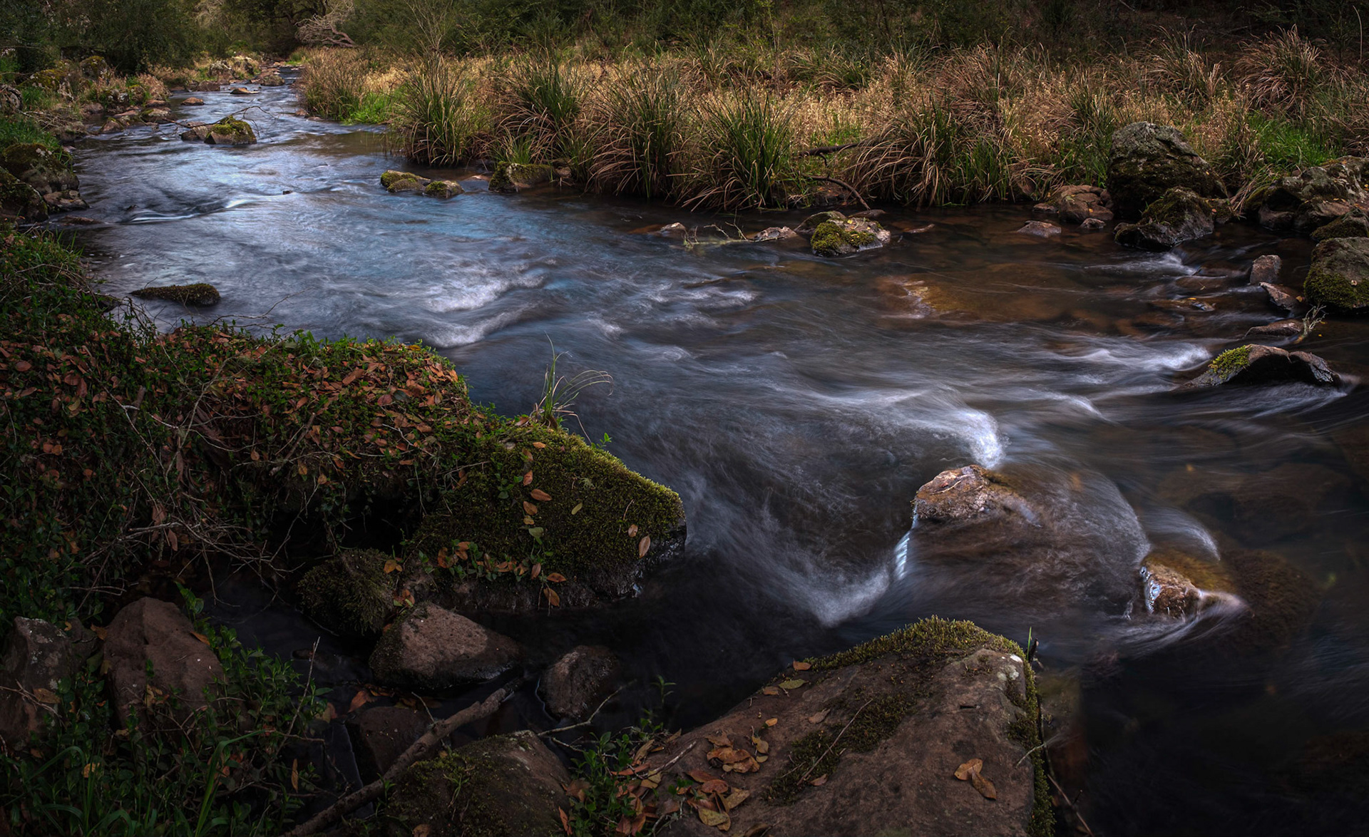 Bielsdown River
