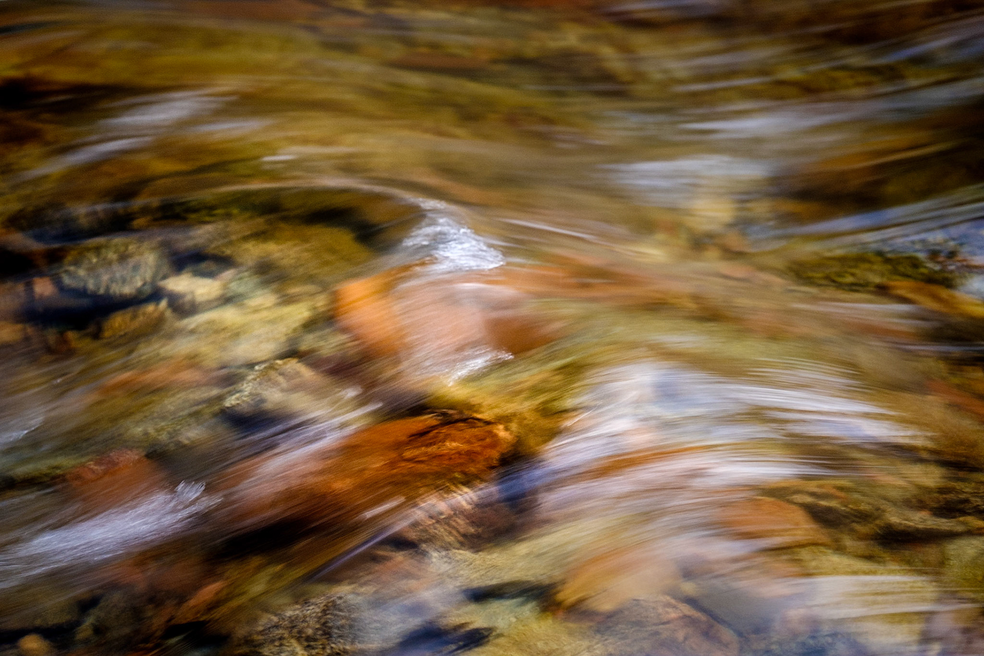 Pallaibo Walk - Kosciuszko National Park, Thredbo River