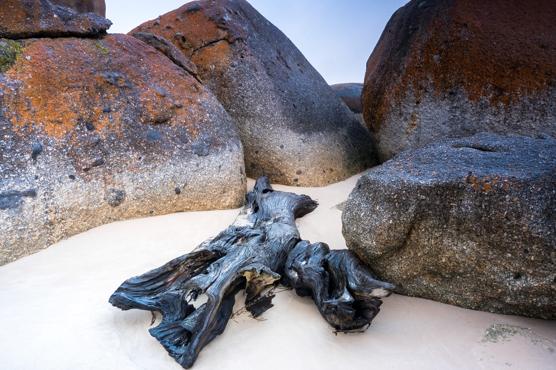 Whisky Beach - Wilsons Promonotry