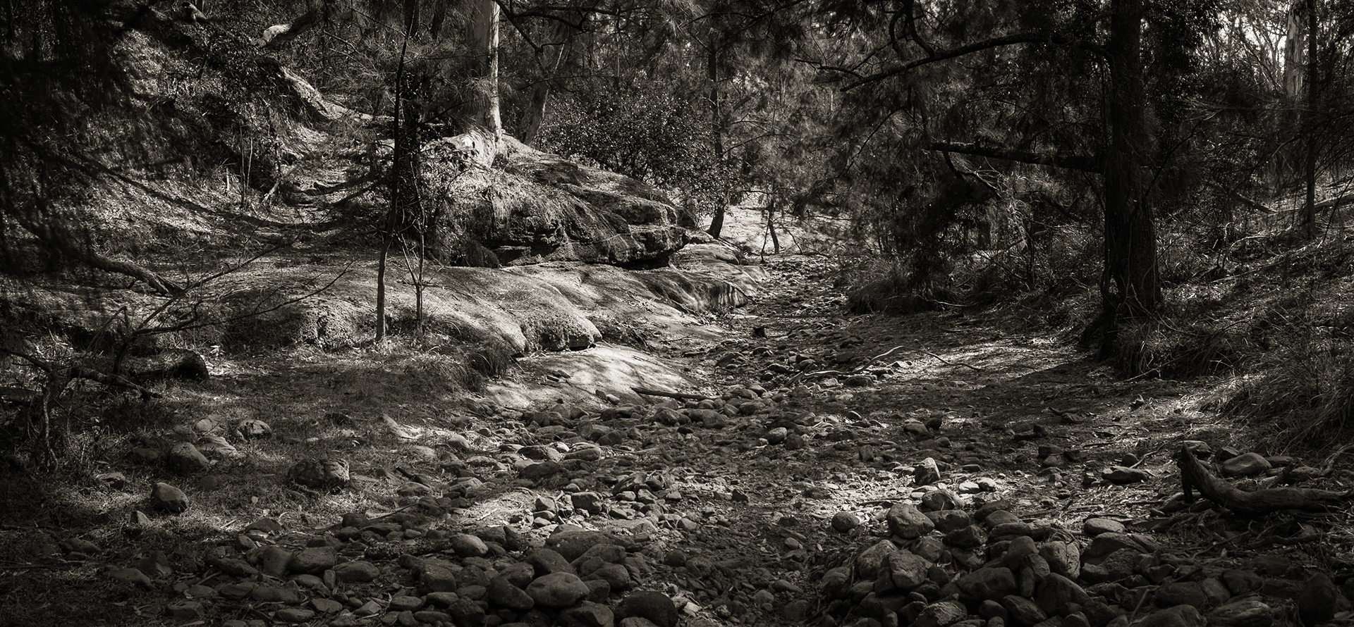 The Washpools, Scone