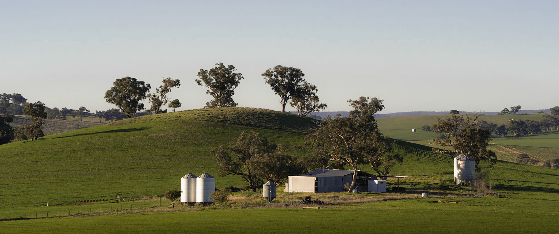 Cudal country