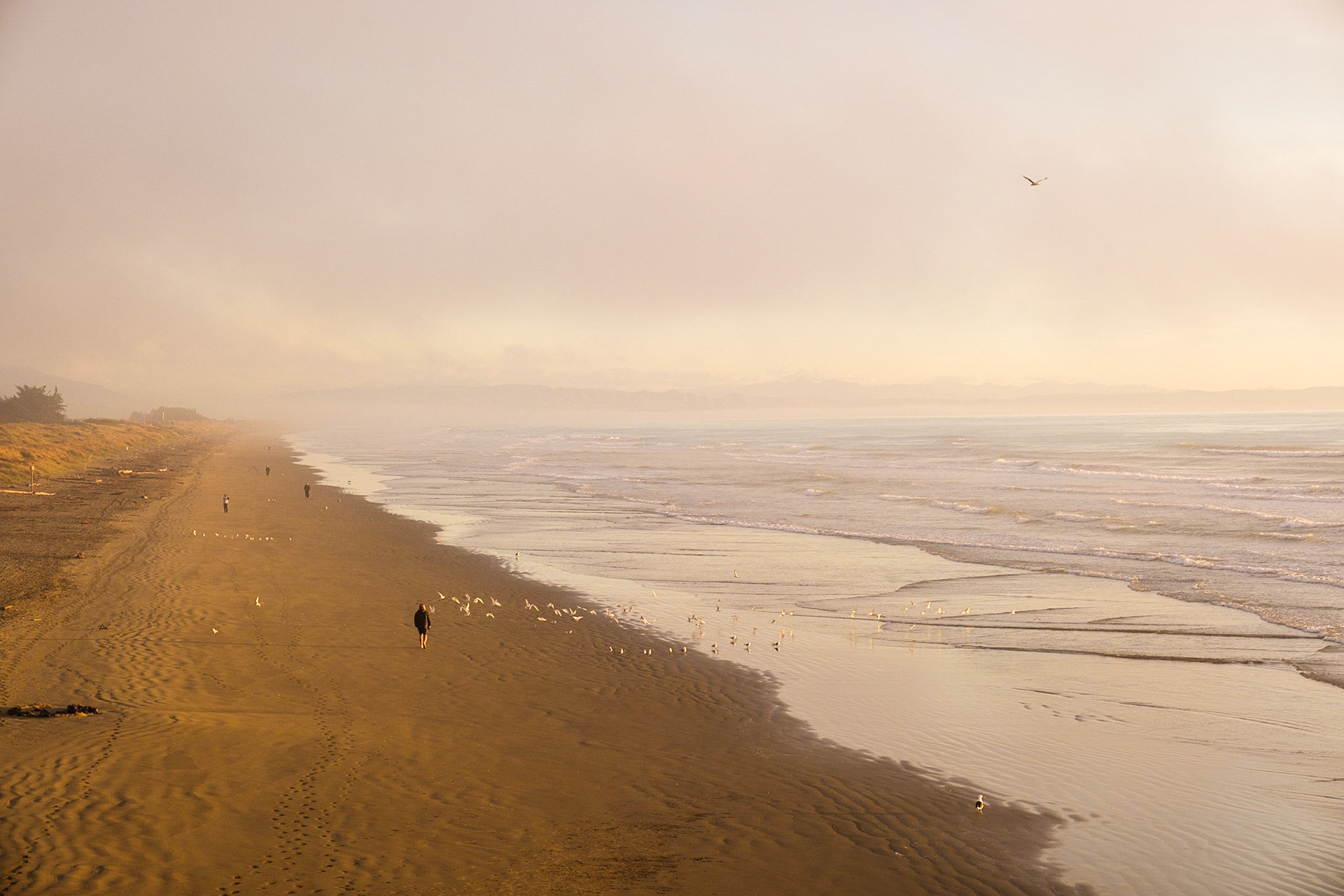 At New Brighton Pier, Christchurch