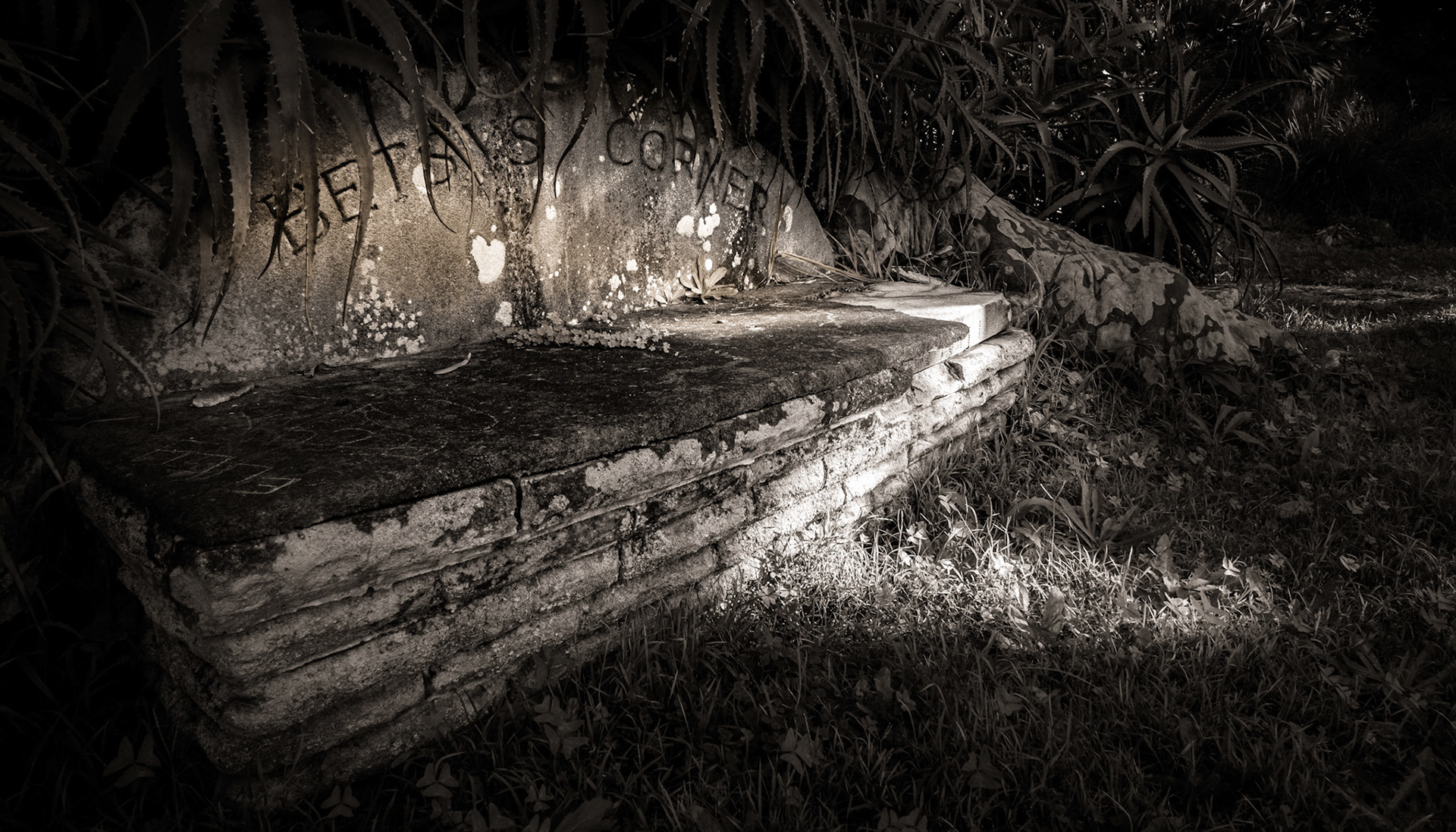 Wallis reserve was donated to the local council in 1956 by N. A. K. Wallis in memory of his mother. Wallis lodge, adjacent to the reserve, was built 100 years ago in the style of the Arts and Craft movment. The reserve is located on Plateau Road opposite its junction with the outlook