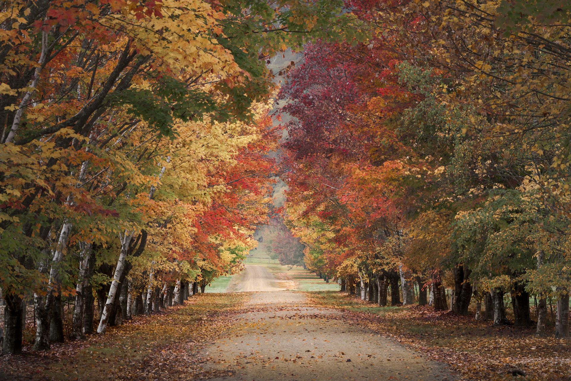 McCormacks Lane