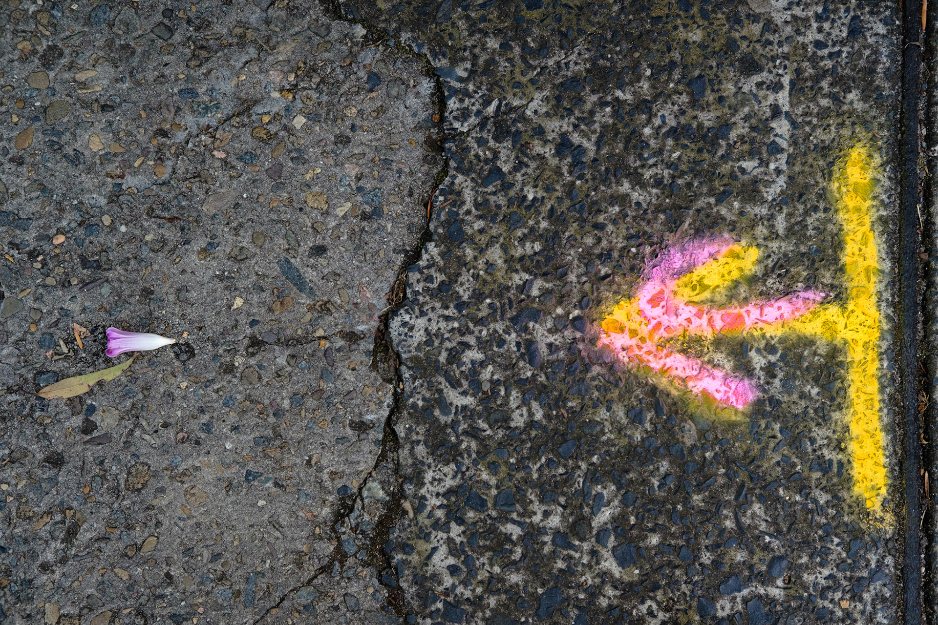 Pavement repairs have been completed