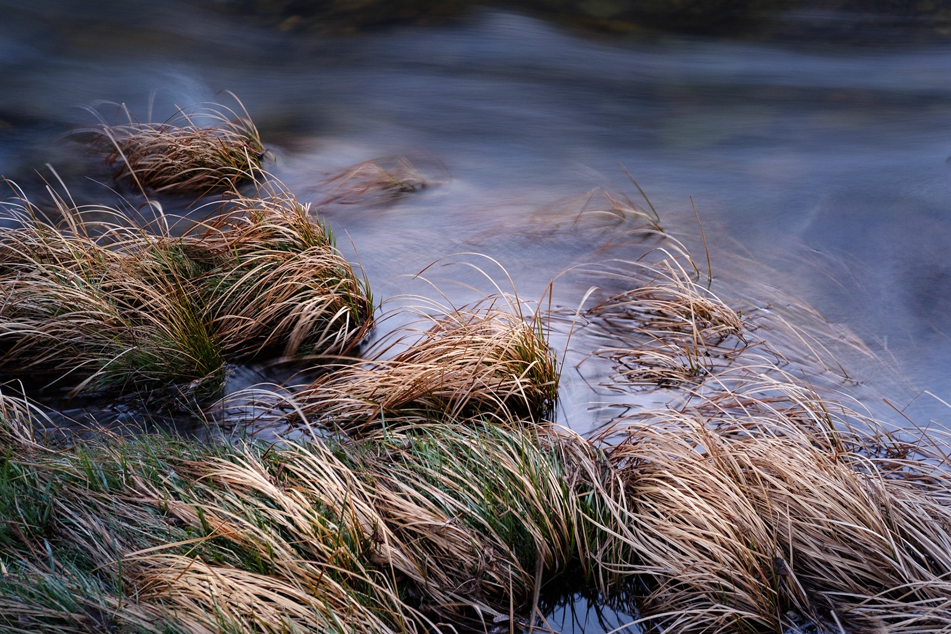 Pallaibo Walk - Kosciuszko National Park, Thredbo River