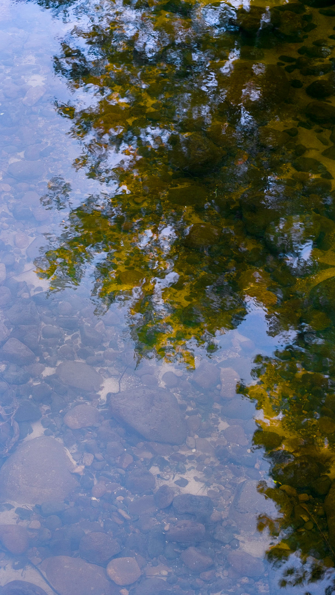 River Rubble