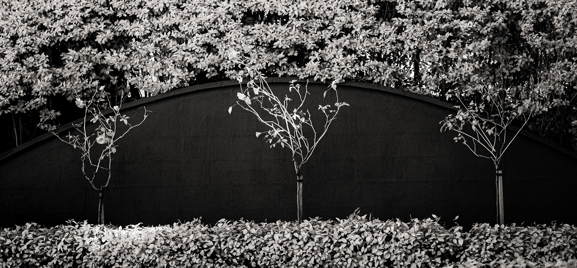Hunter Valley Gardens