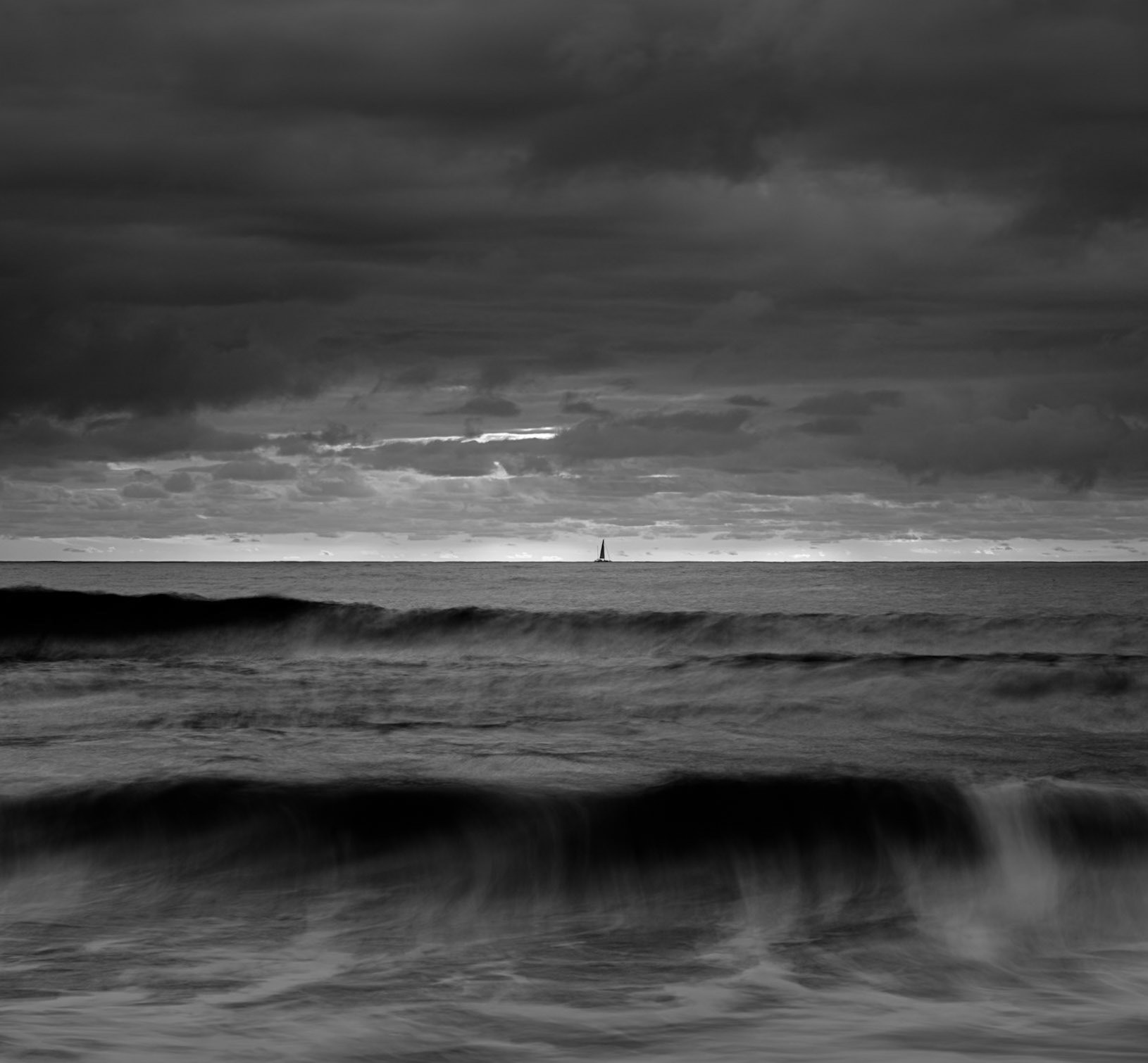 Whale Beach Sail