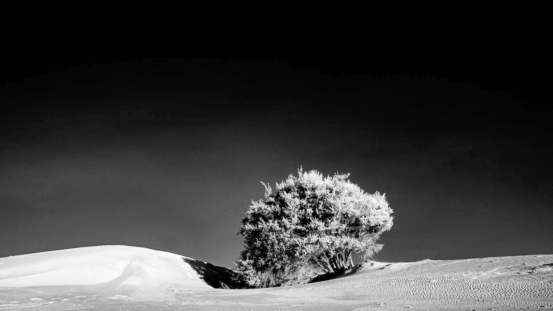 The Big Drift - Wilsons Promonotry