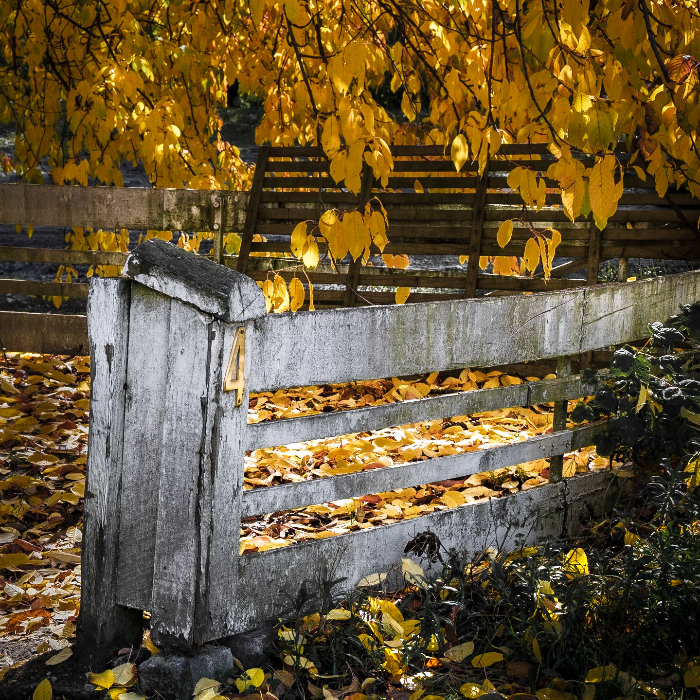 Arrowtown