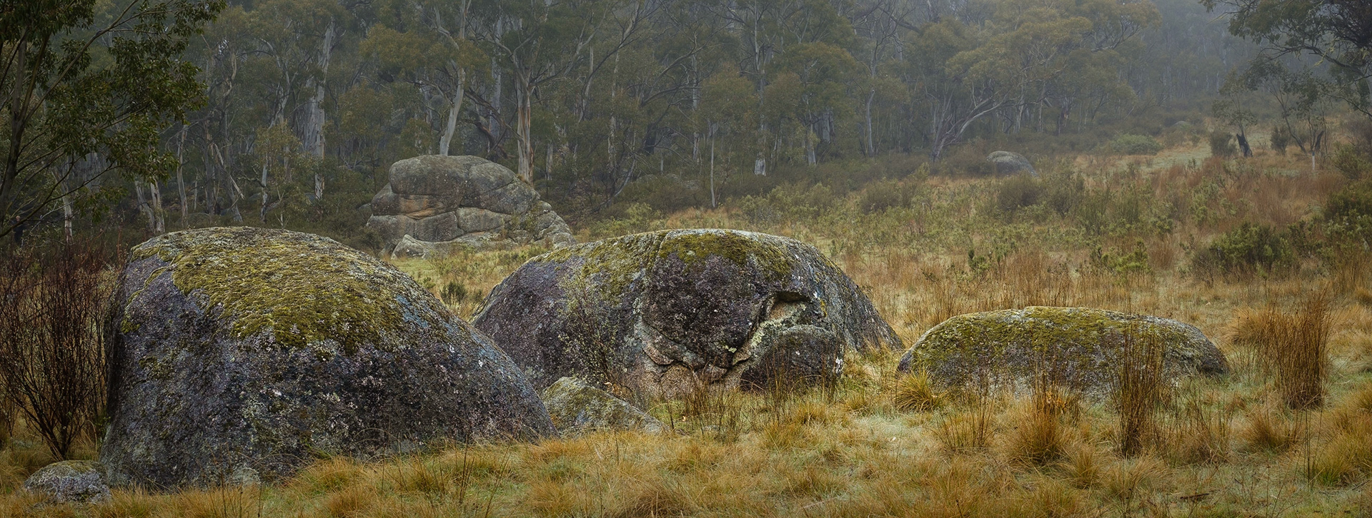 Waterfall Walk, Kosciuszko National park