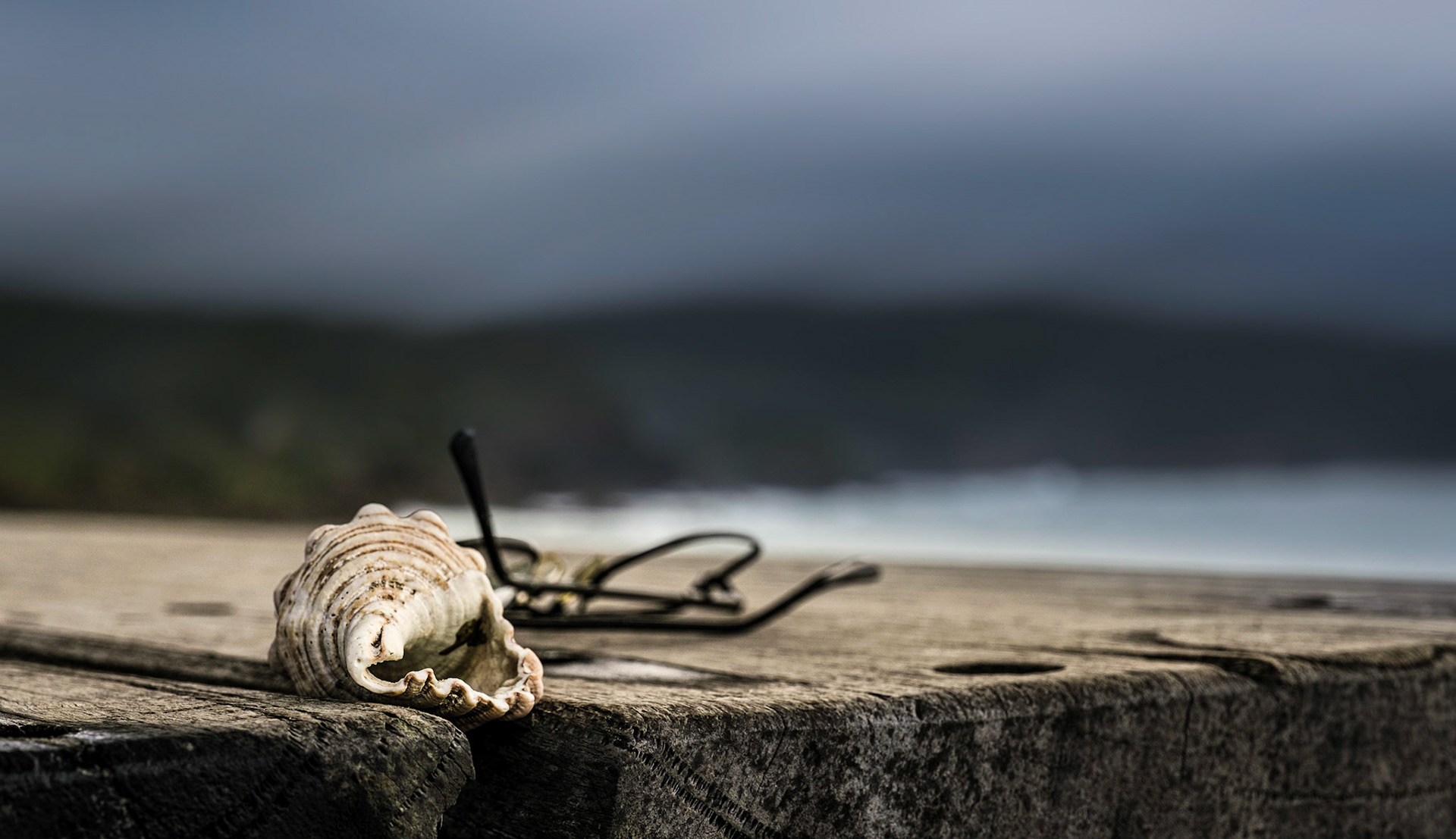 Left Behind at Boat Beach - Seal Rocks