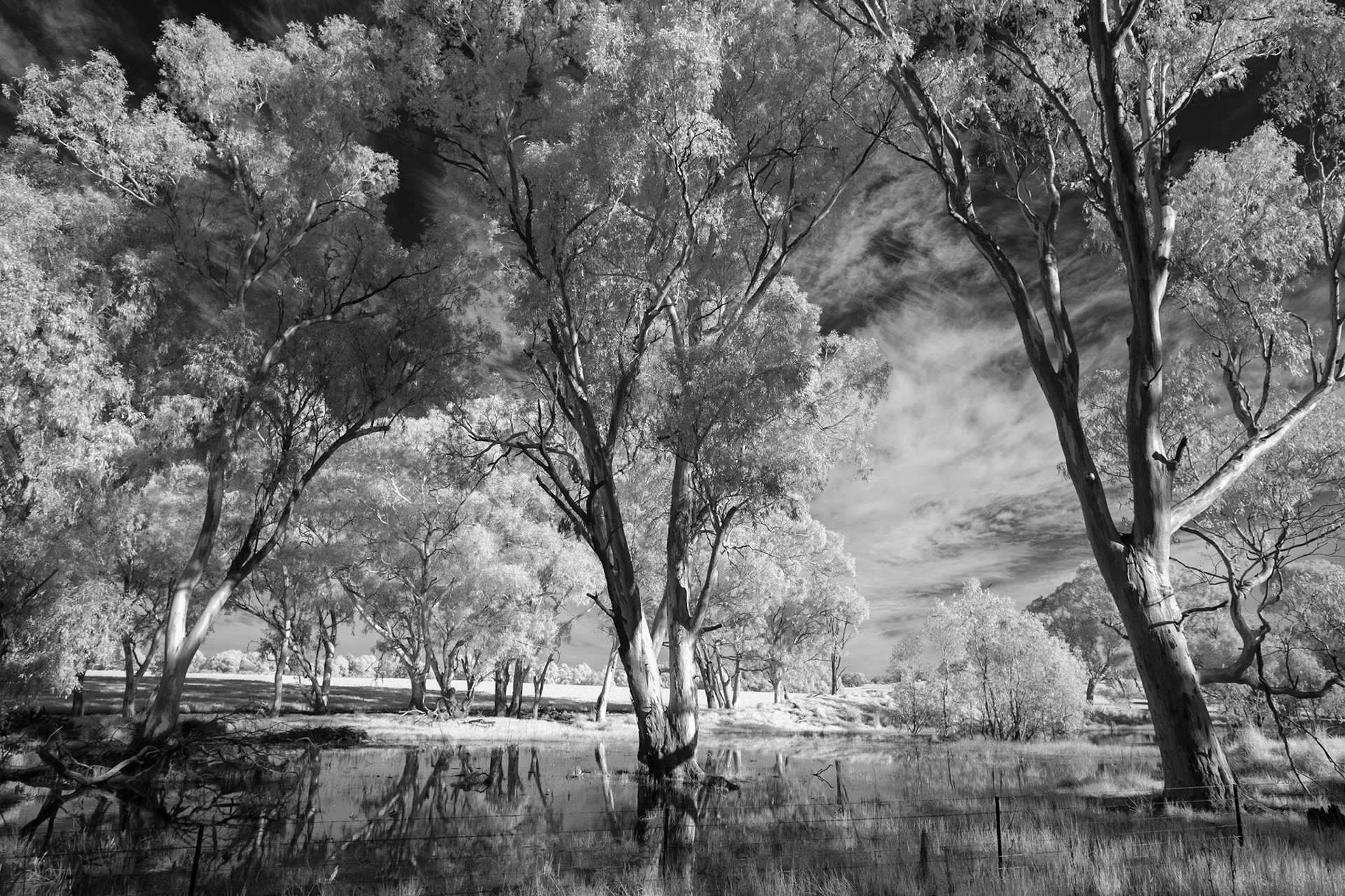 Near Cootamundra