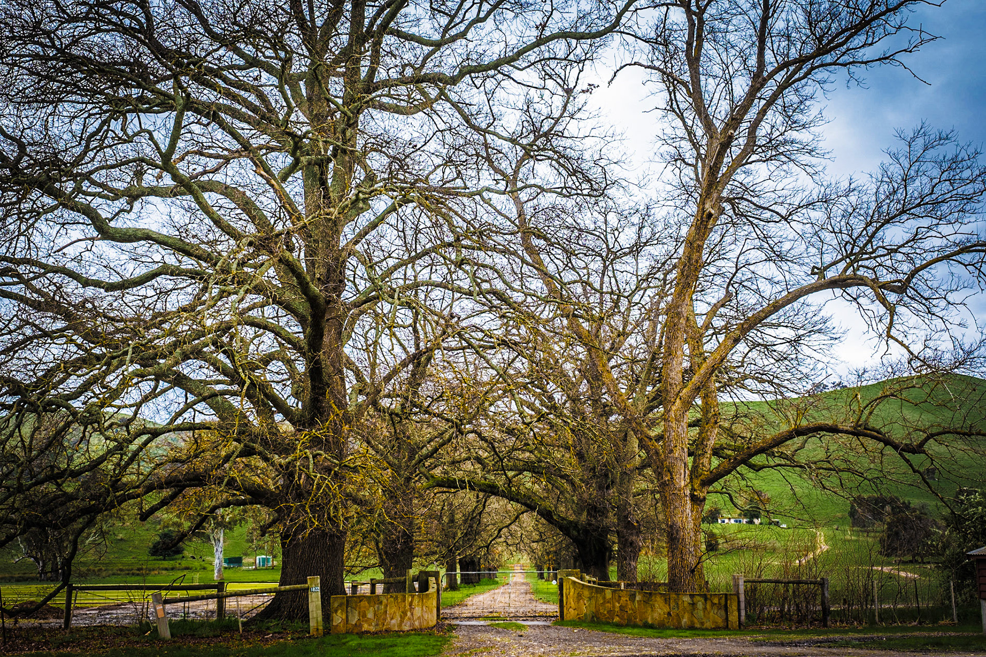 Near Alexandra, Victoria