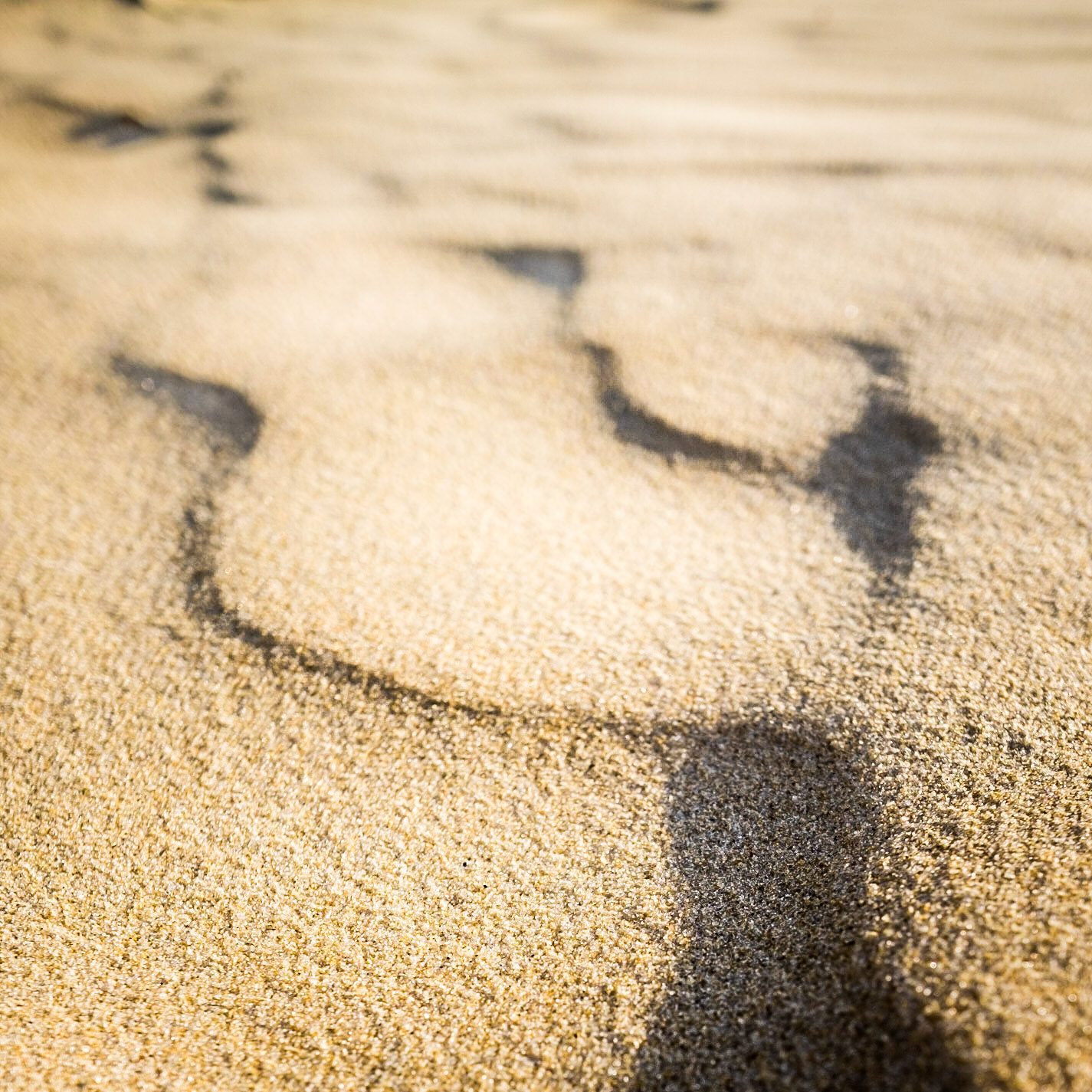 22 - Sand shadows