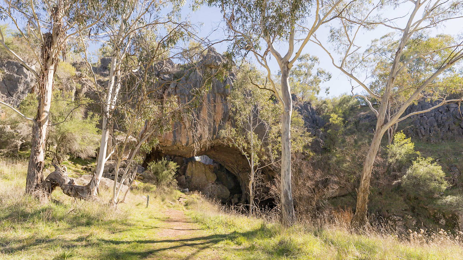 Borenore Karst Conservation Area