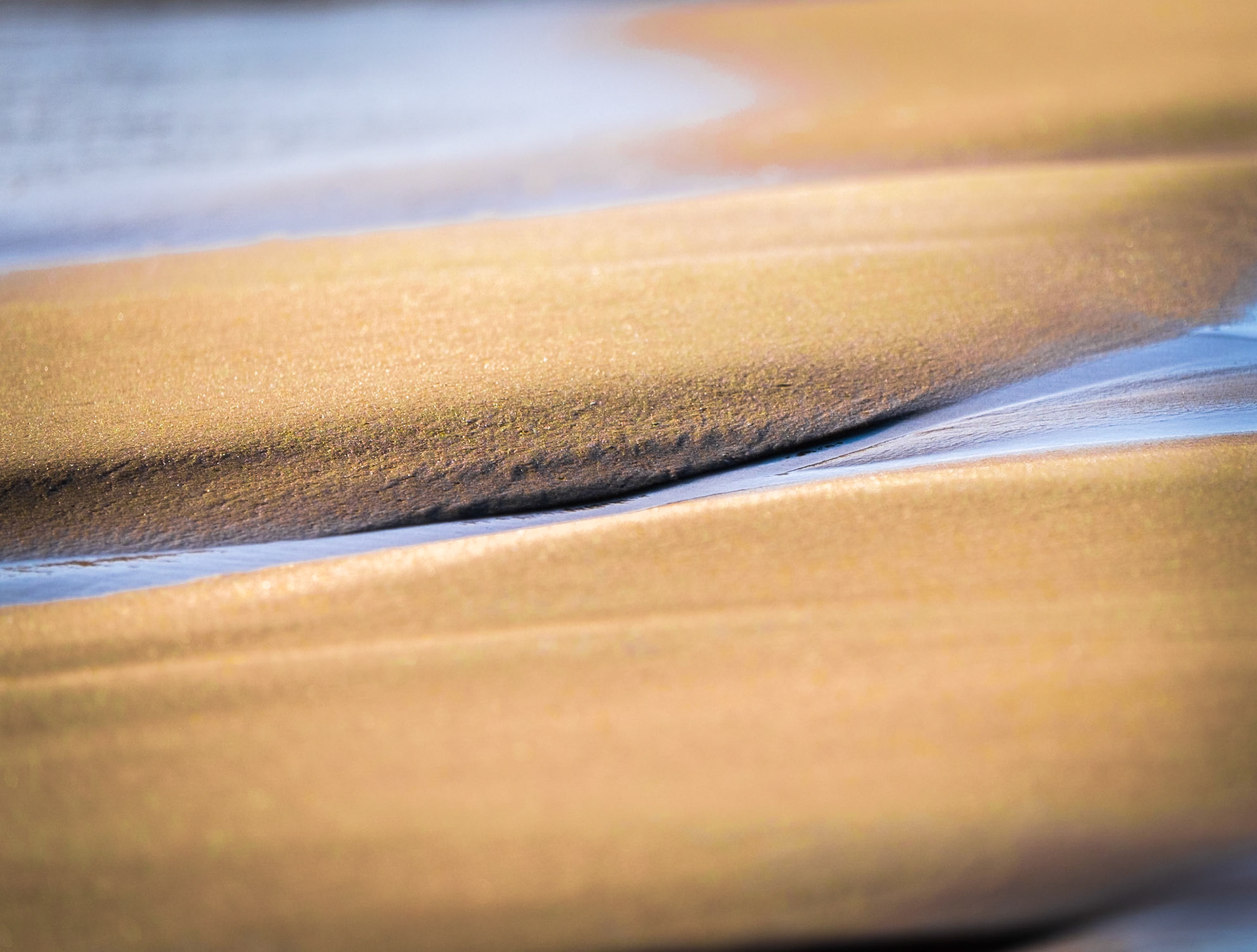 7 - Sandscape