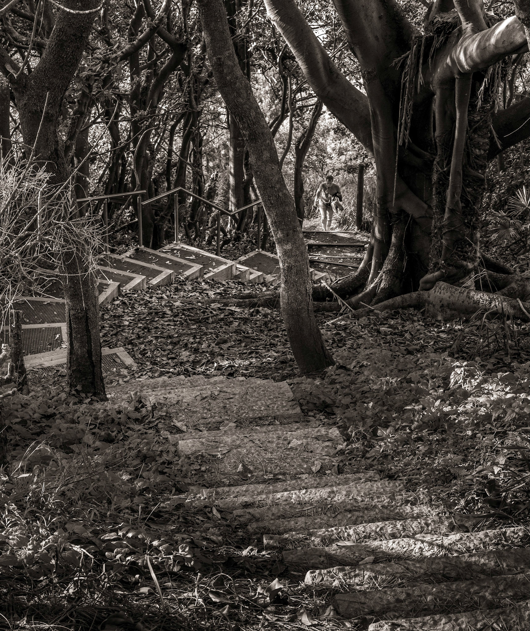 Walking up from the Beach