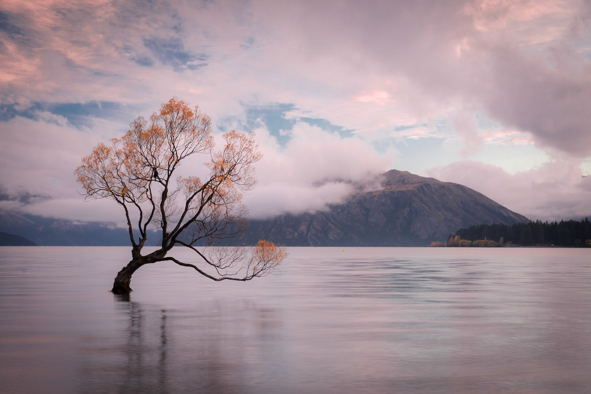 Wanaka